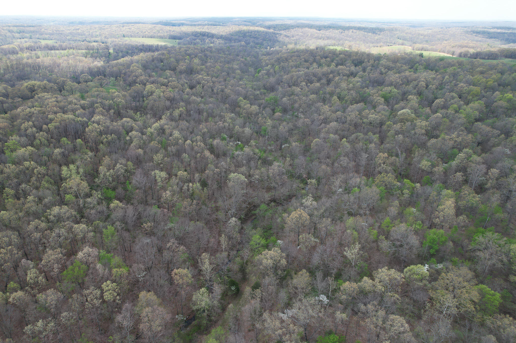 Photo 28 - Land for sale – 000  Farm Road 2170   Exeter, MO