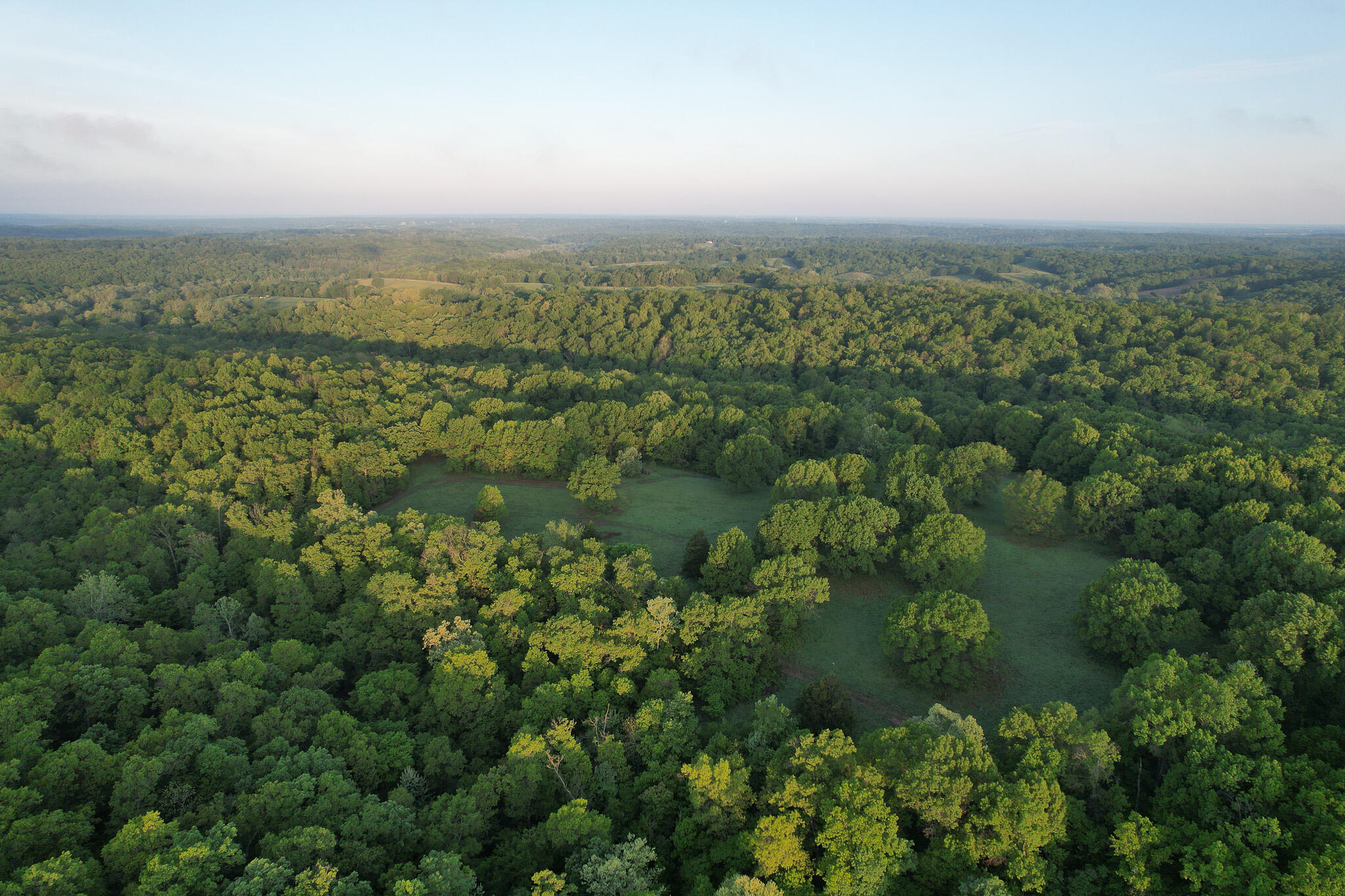 Photo 53 - Land for sale – 000  Farm Road 2170   Exeter, MO