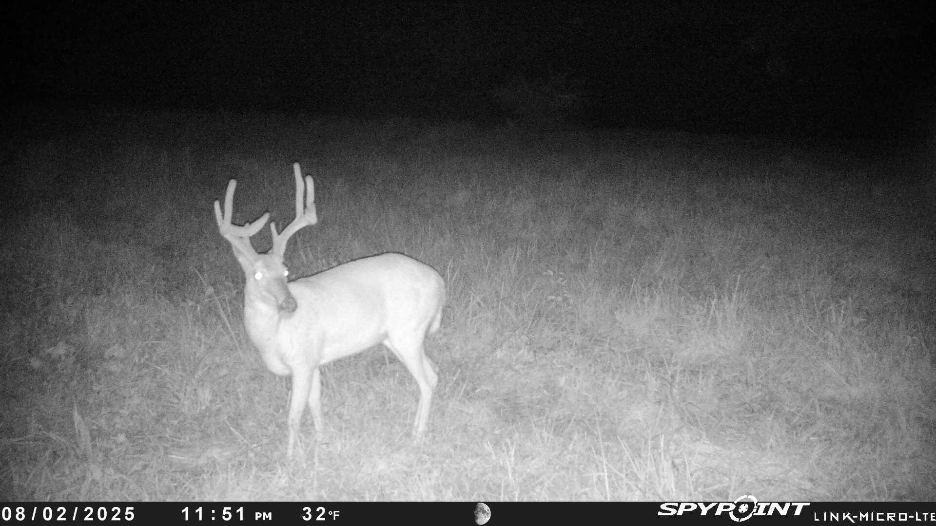 Photo 95 - Land for sale – 000  Farm Road 2170   Exeter, MO