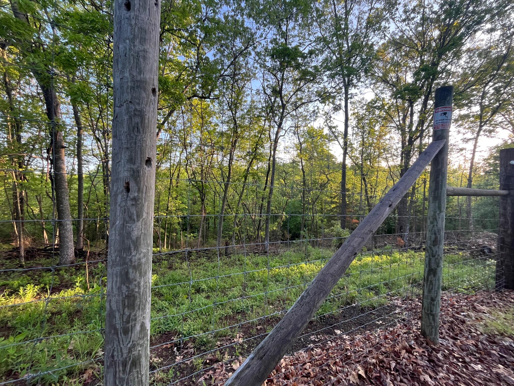 Photo 7 - Land for sale – 000  Farm Road 2170   Exeter, MO