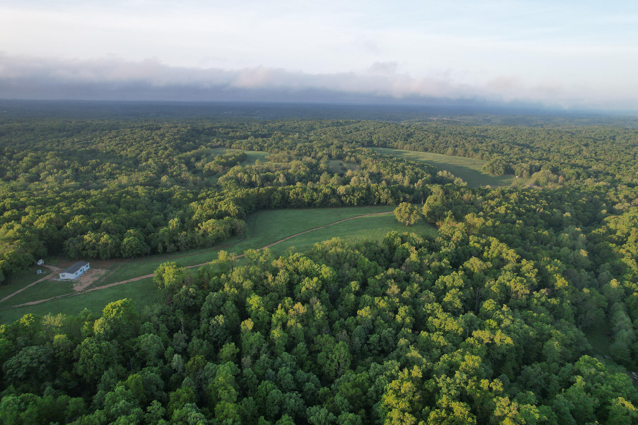 Photo 62 - Land for sale – 000  Farm Road 2170   Exeter, MO