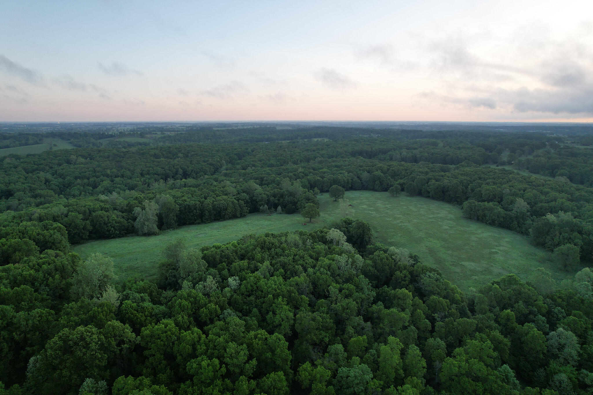 Photo 48 - Land for sale – 000  Farm Road 2170   Exeter, MO