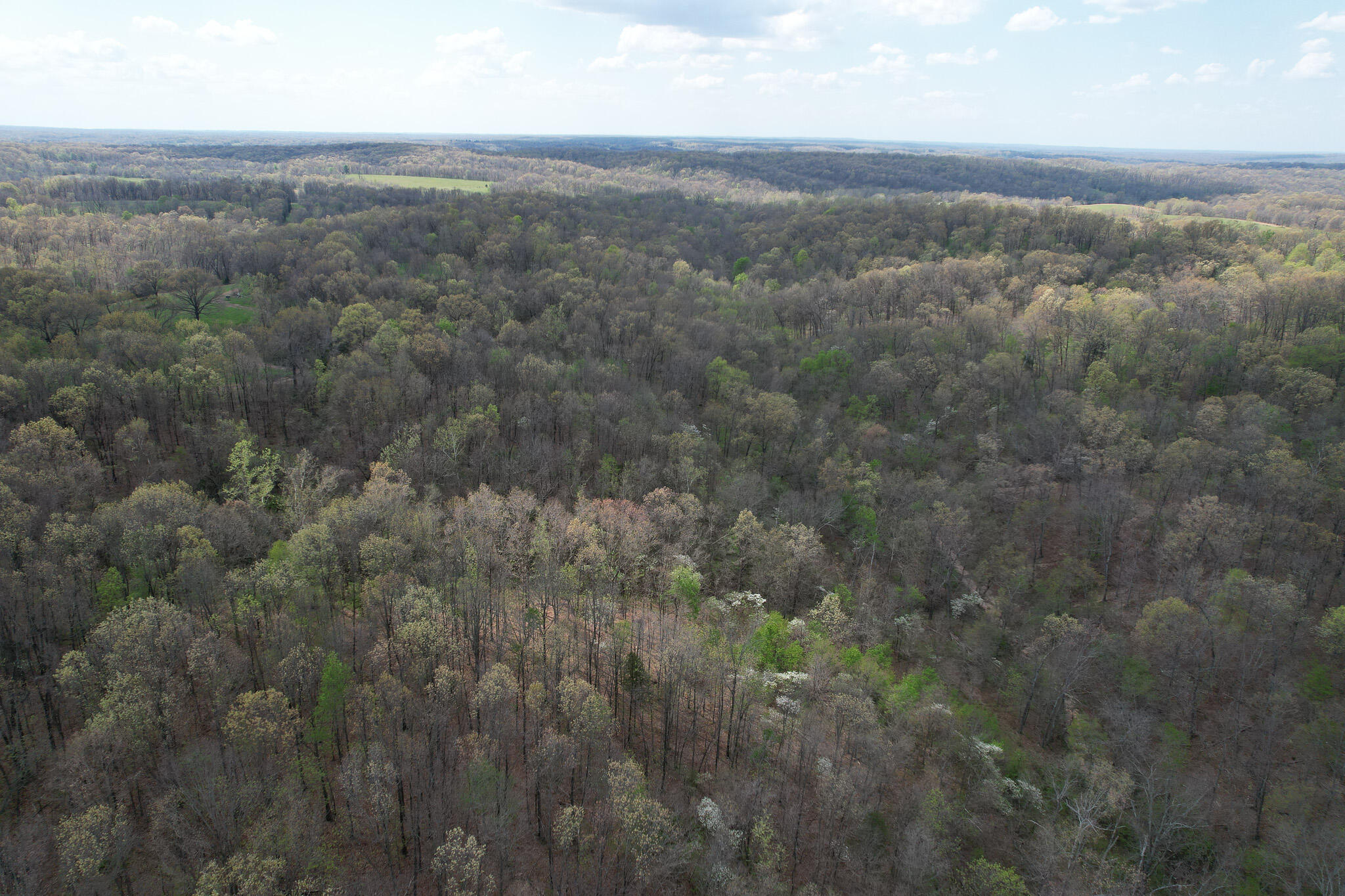 Photo 31 - Land for sale – 000  Farm Road 2170   Exeter, MO