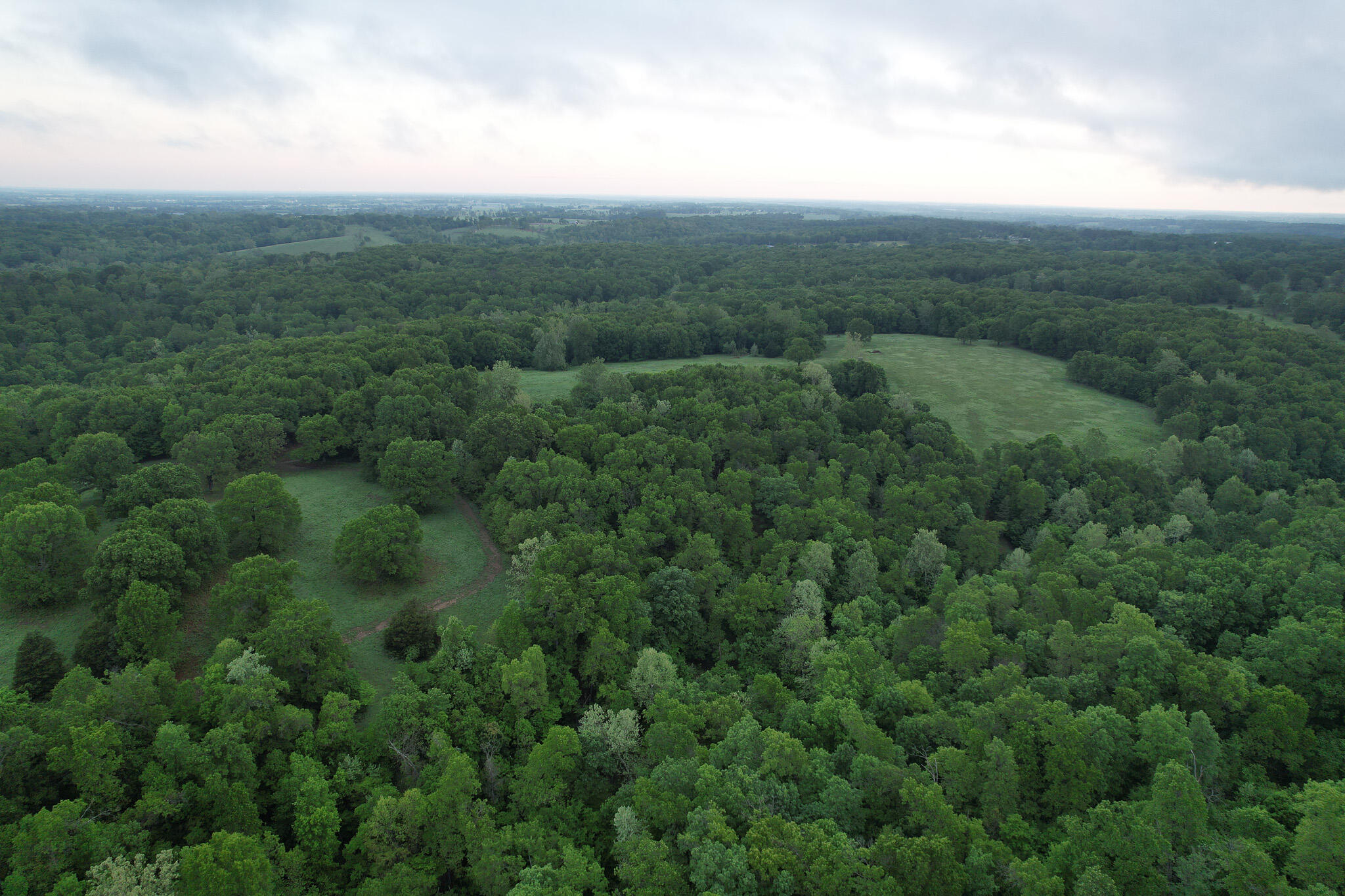 Photo 42 - Land for sale – 000  Farm Road 2170   Exeter, MO