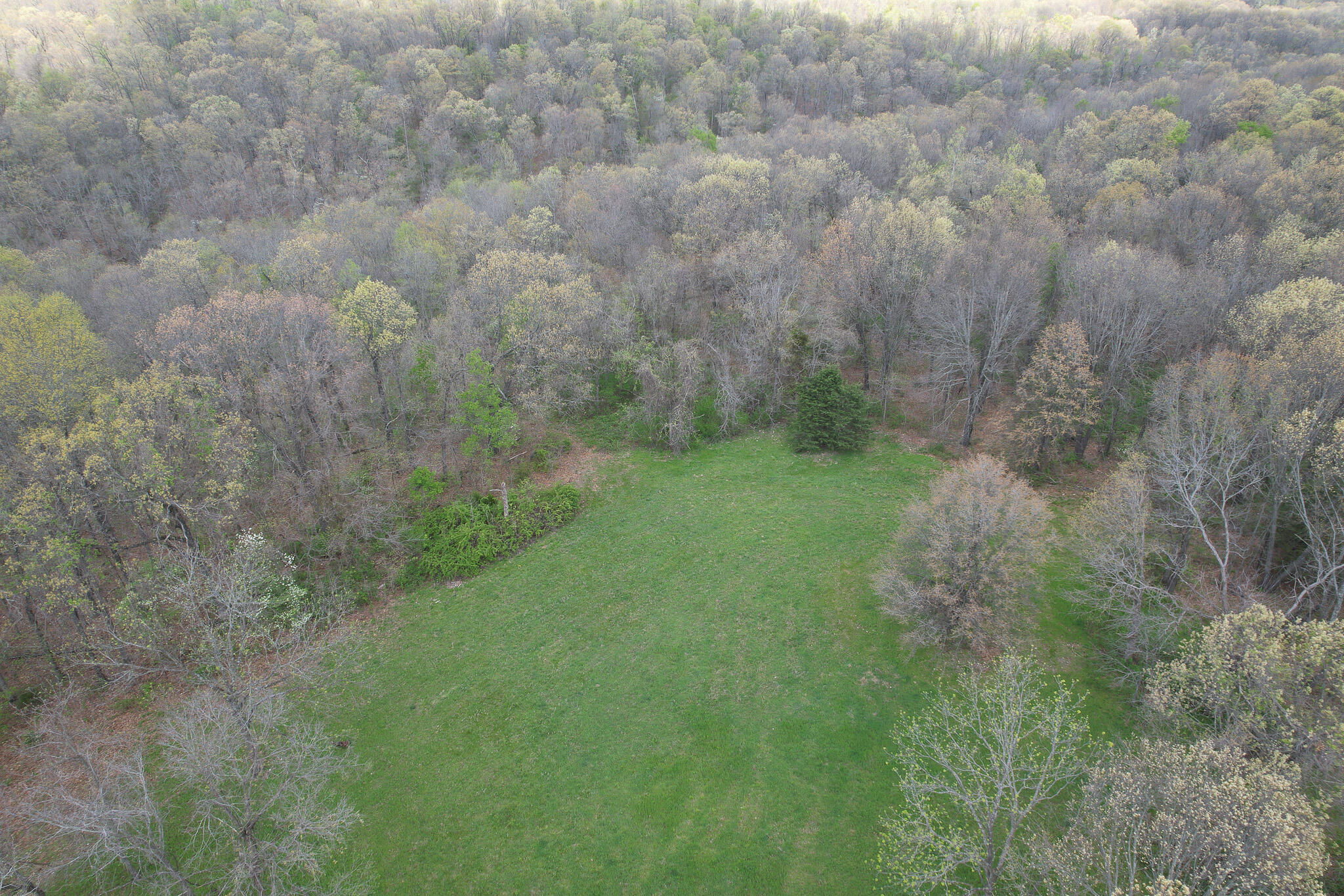 Photo 21 - Land for sale – 000  Farm Road 2170   Exeter, MO