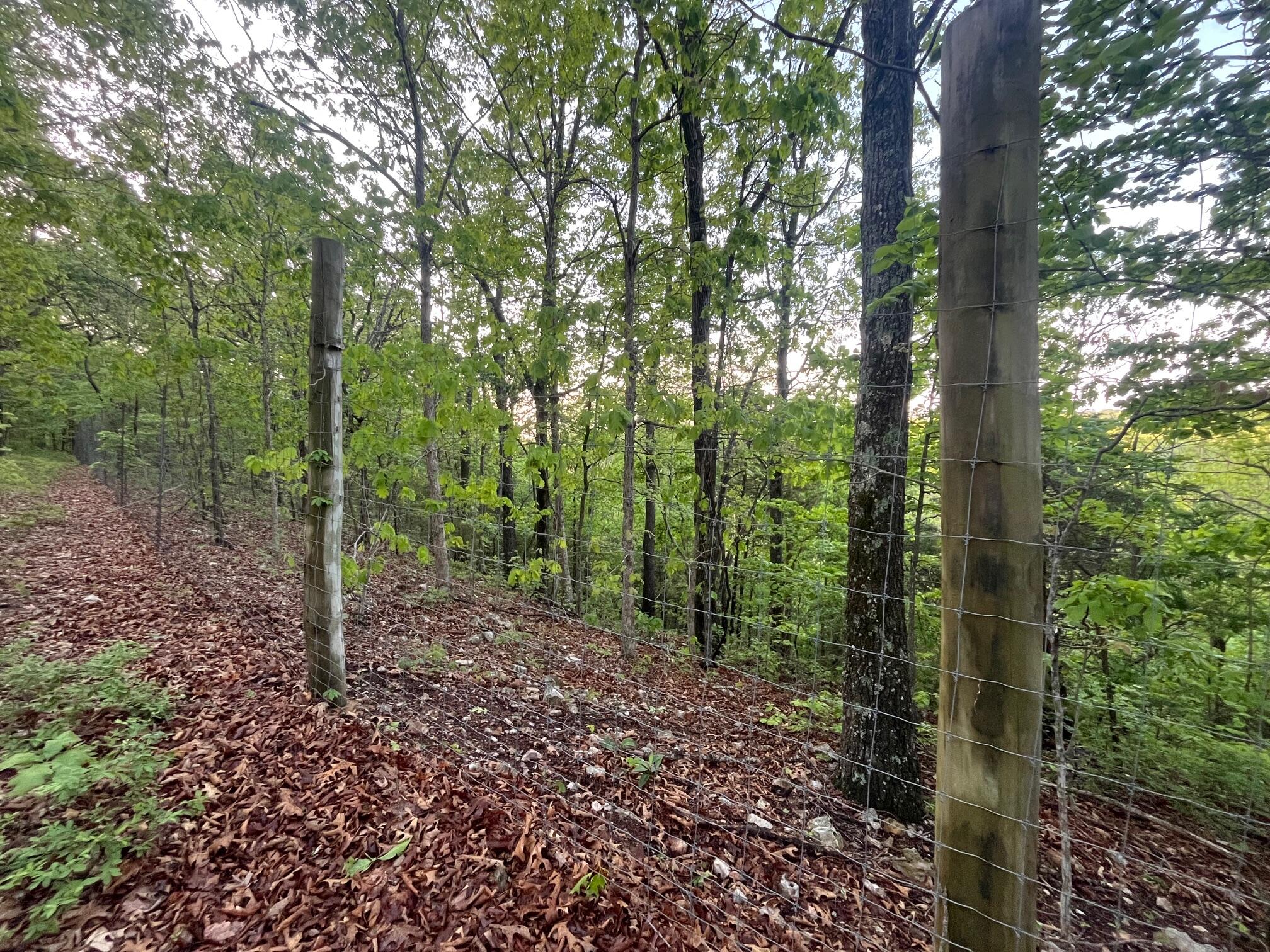 Photo 5 - Land for sale – 000  Farm Road 2170   Exeter, MO