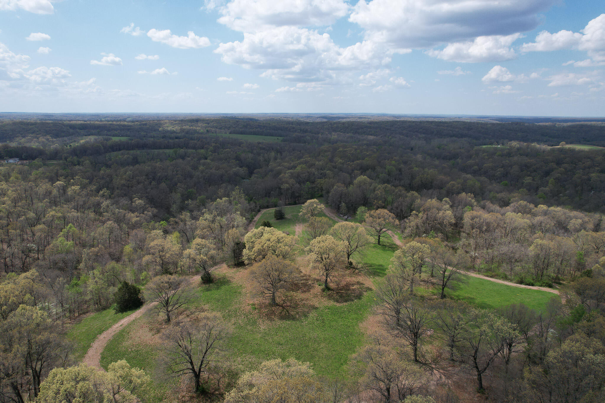 Photo 12 - Land for sale – 000  Farm Road 2170   Exeter, MO