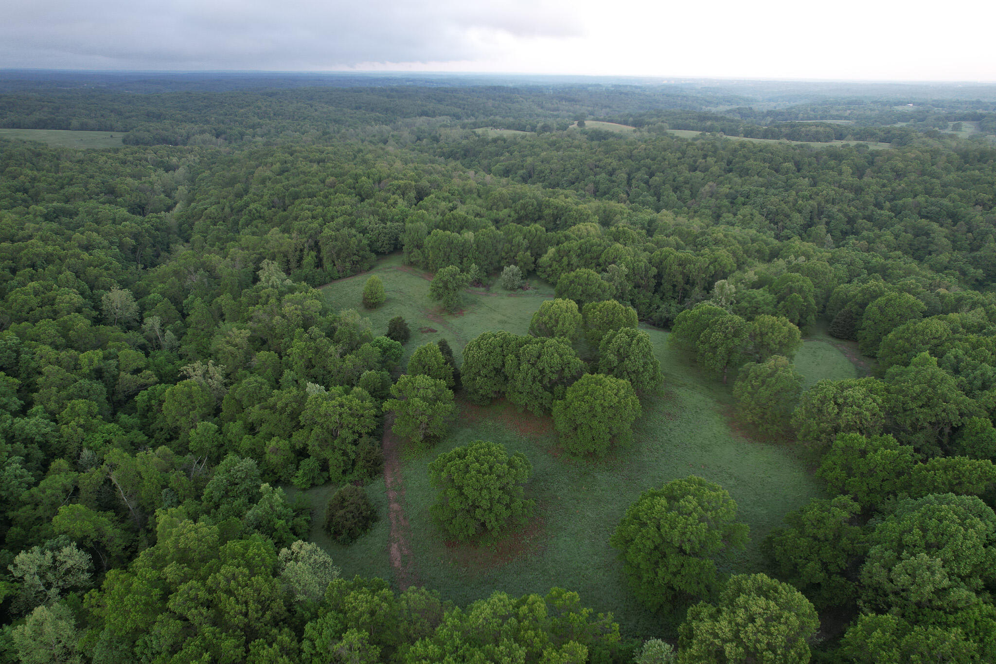 Photo 47 - Land for sale – 000  Farm Road 2170   Exeter, MO