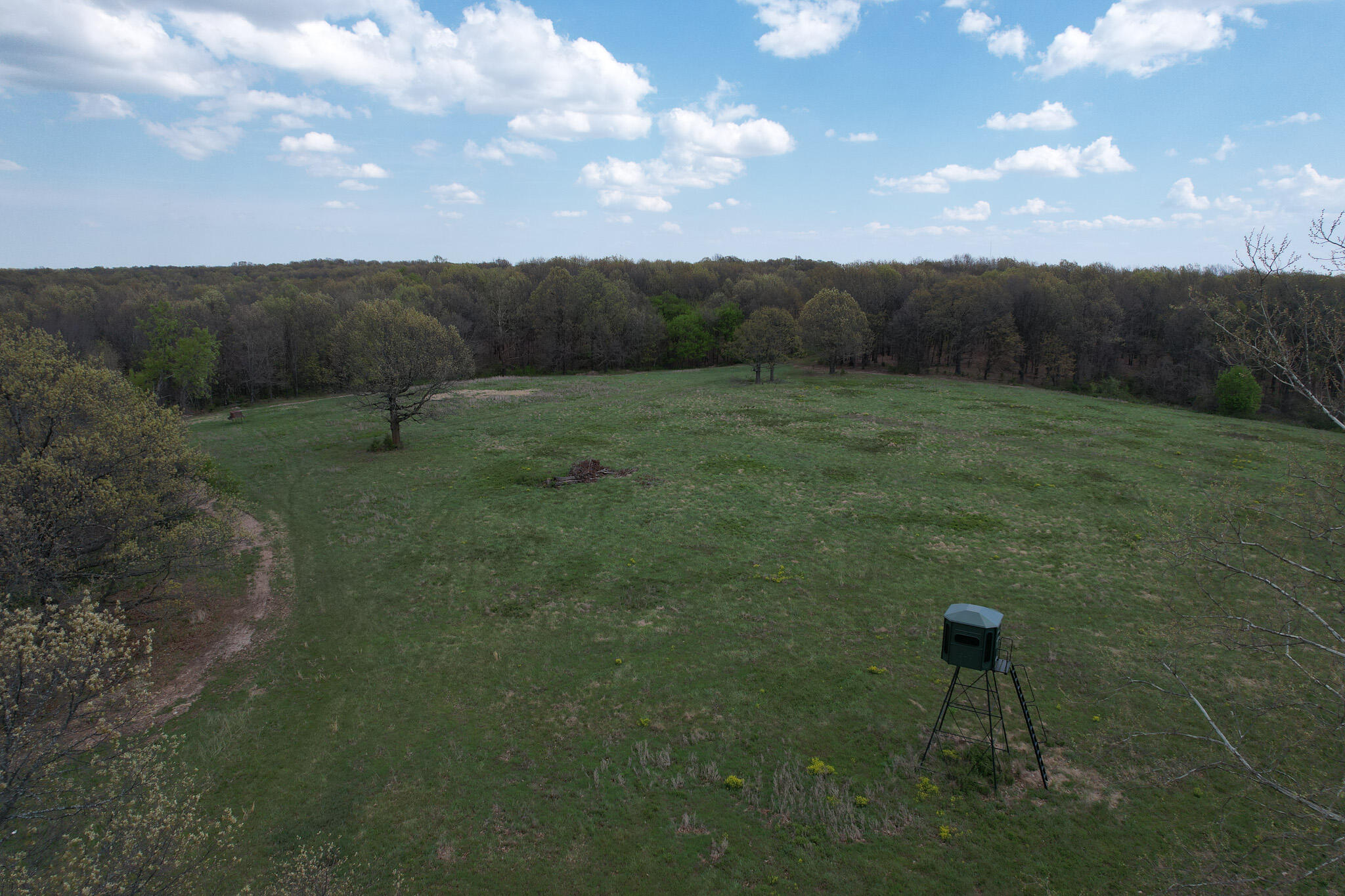 Photo 26 - Land for sale – 000  Farm Road 2170   Exeter, MO