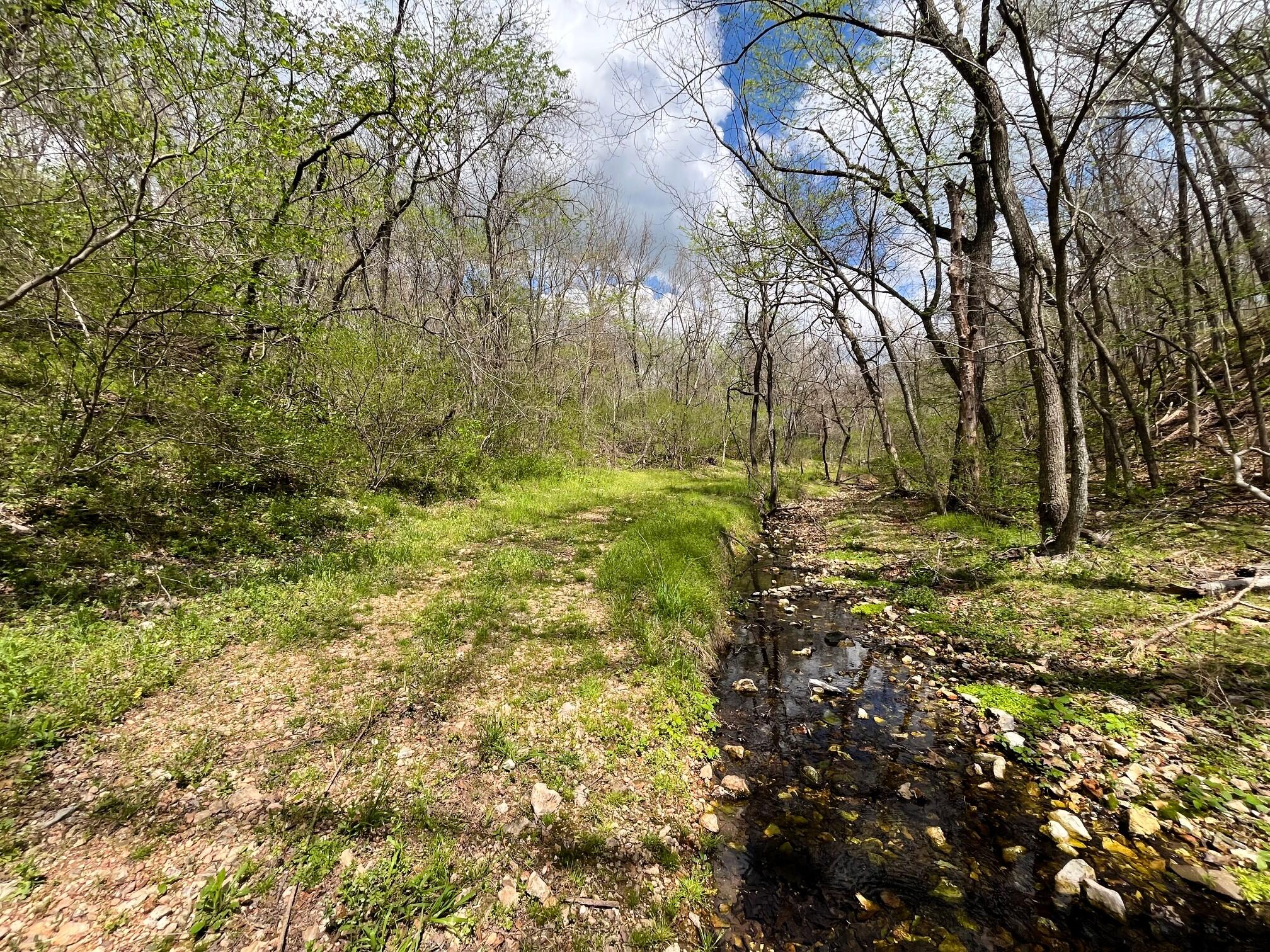 Photo 84 - Land for sale – 000  Farm Road 2170   Exeter, MO