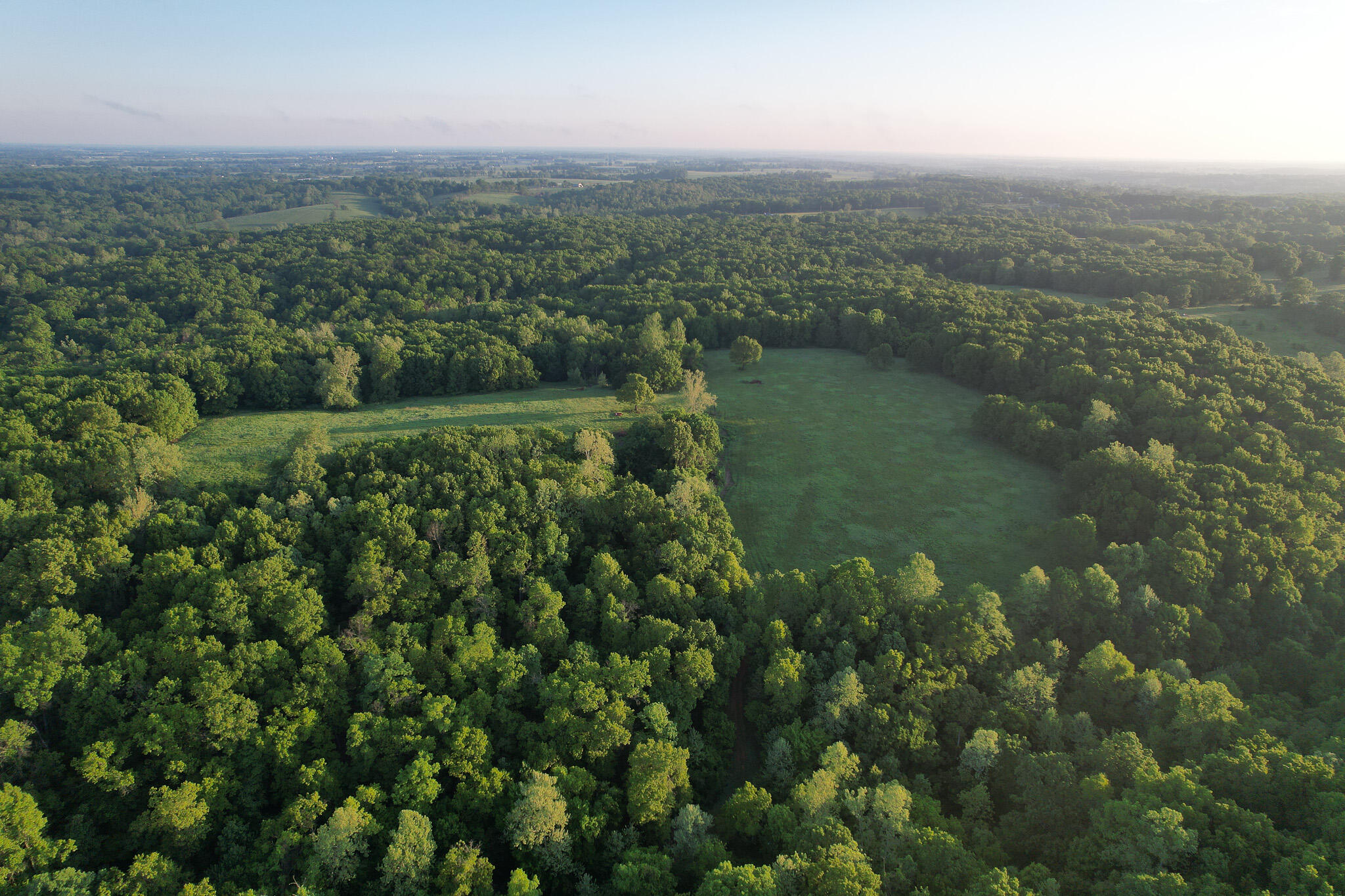 Photo 68 - Land for sale – 000  Farm Road 2170   Exeter, MO