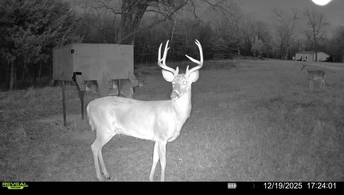 Photo 92 - Land for sale – 000  Farm Road 2170   Exeter, MO