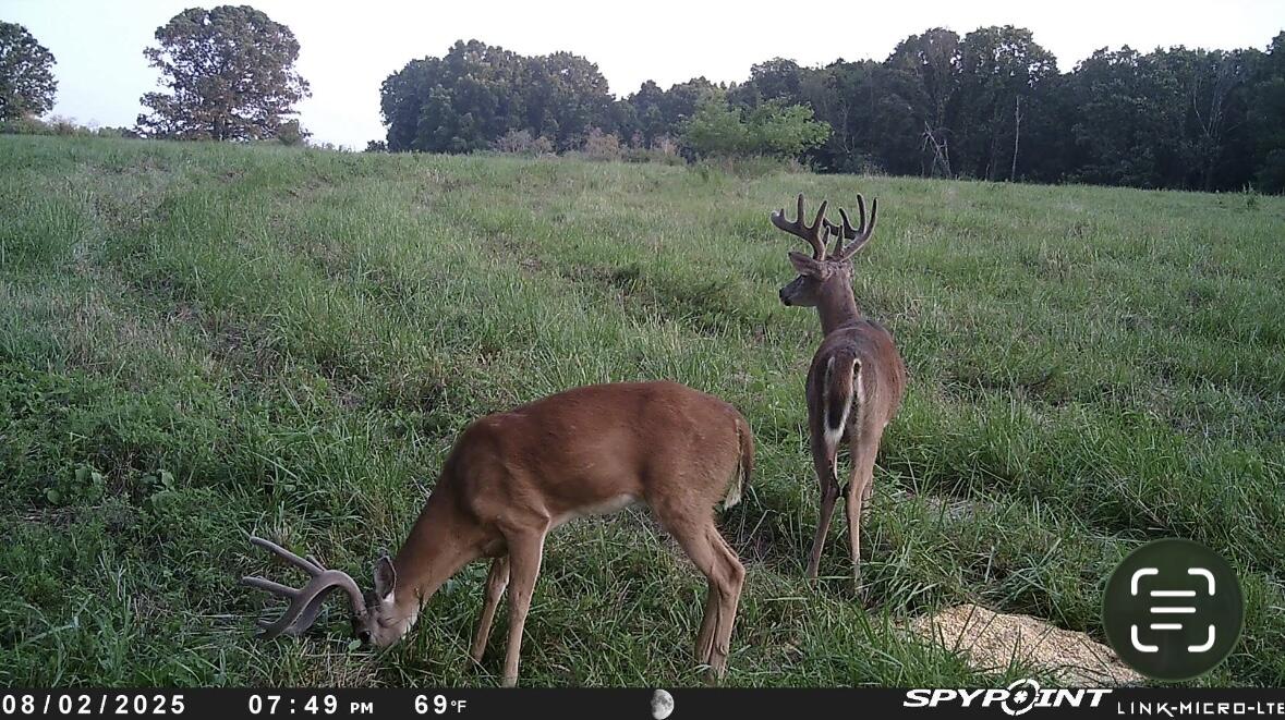 Photo 101 - Land for sale – 000  Farm Road 2170   Exeter, MO