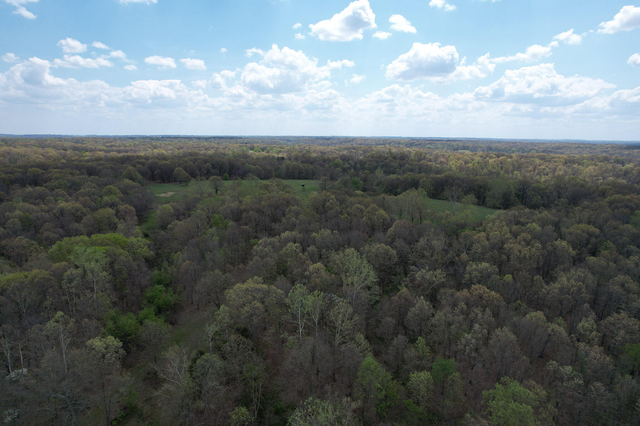 Photo 30 - Land for sale – 000  Farm Road 2170   Exeter, MO
