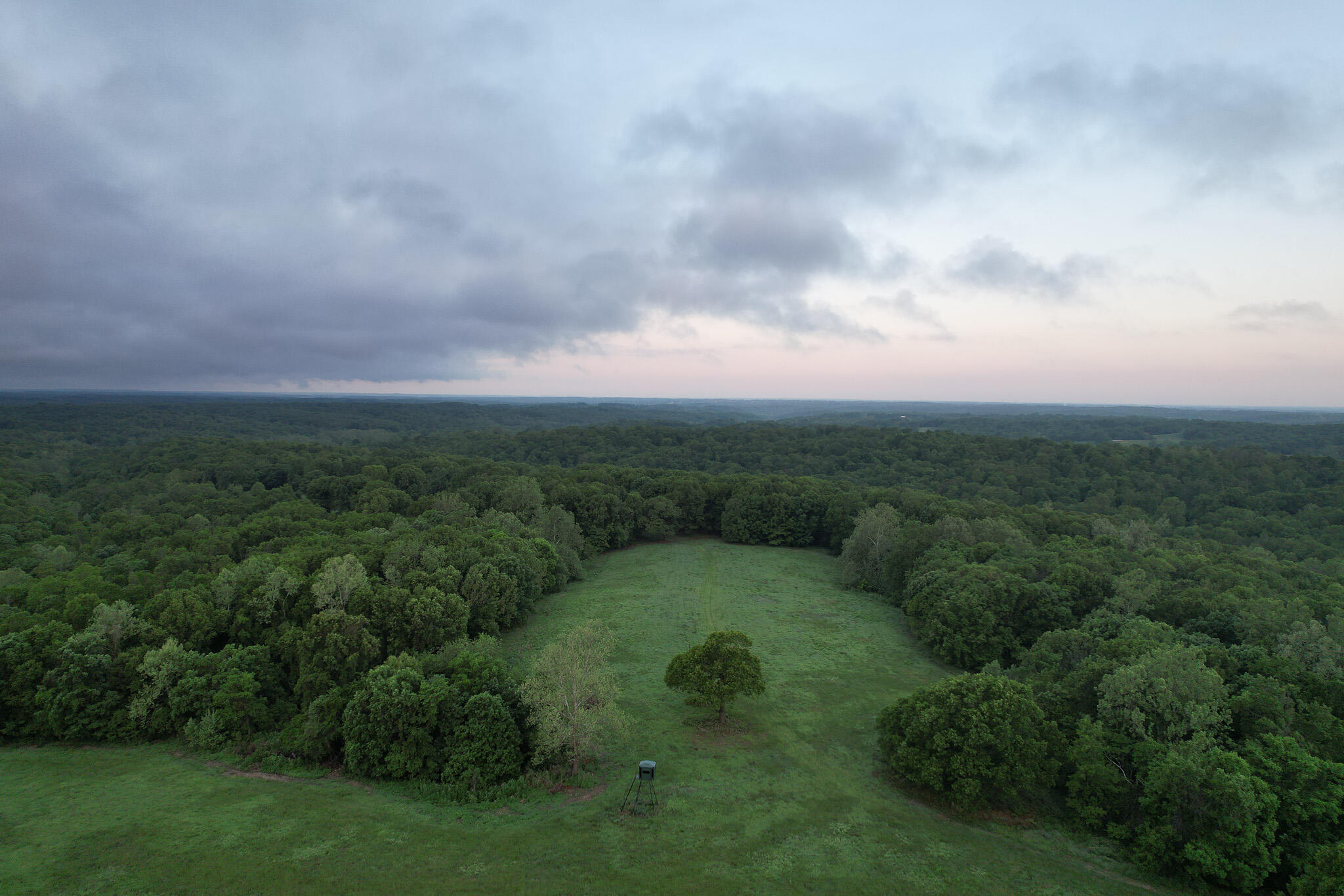 Photo 44 - Land for sale – 000  Farm Road 2170   Exeter, MO