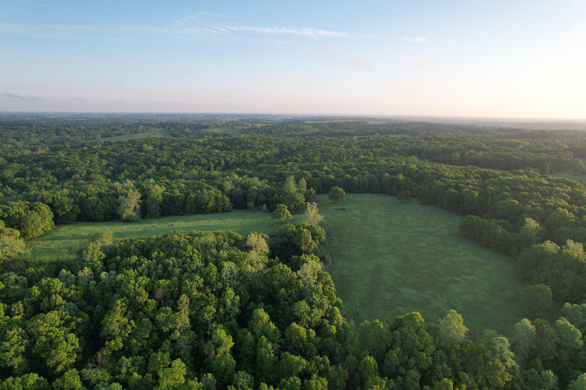 Photo 54 - Land for sale – 000  Farm Road 2170   Exeter, MO