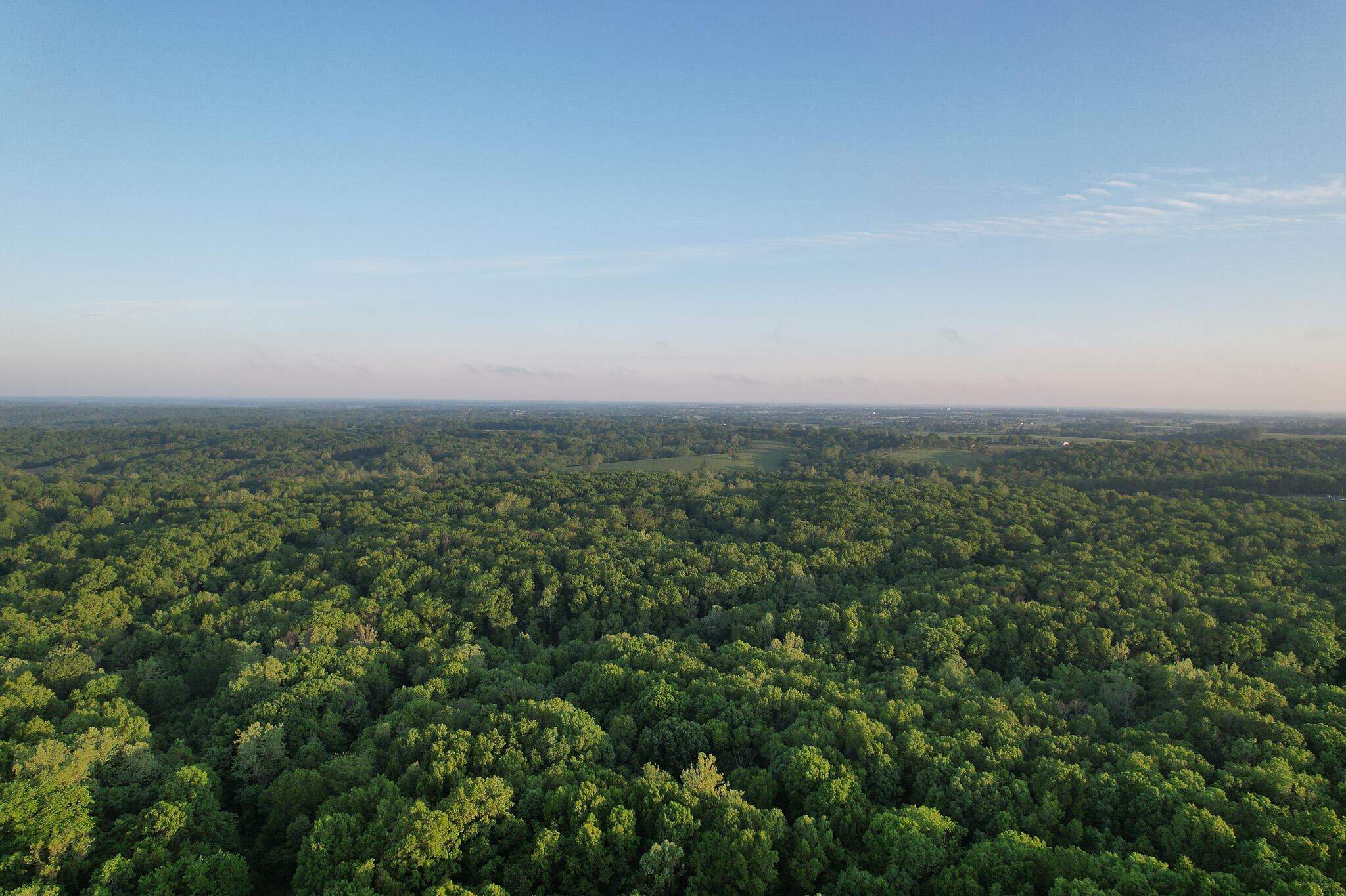 Photo 55 - Land for sale – 000  Farm Road 2170   Exeter, MO