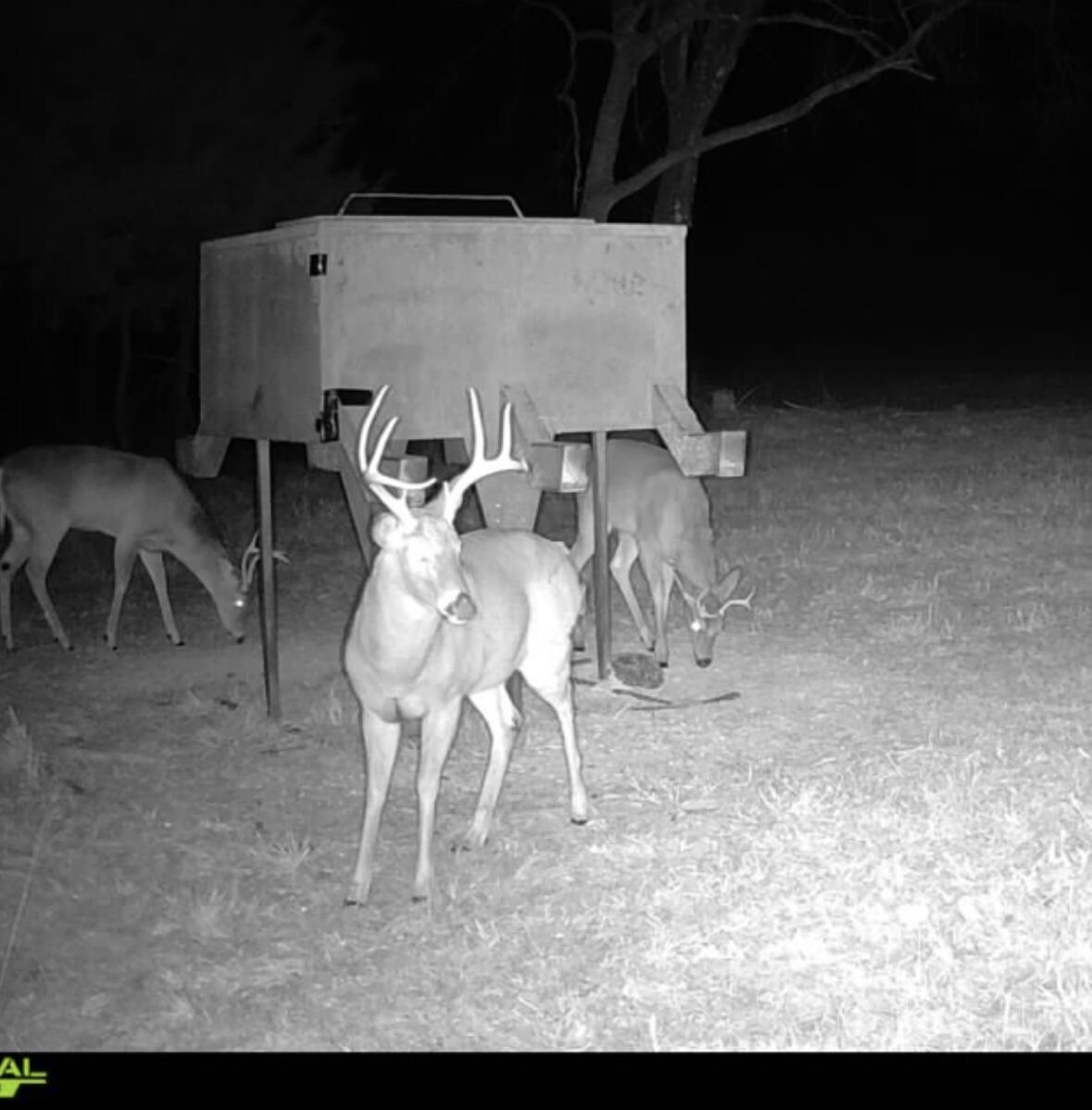Photo 91 - Land for sale – 000  Farm Road 2170   Exeter, MO