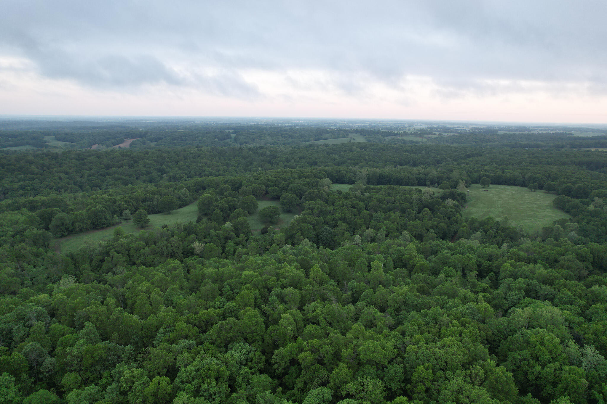 Photo 39 - Land for sale – 000  Farm Road 2170   Exeter, MO