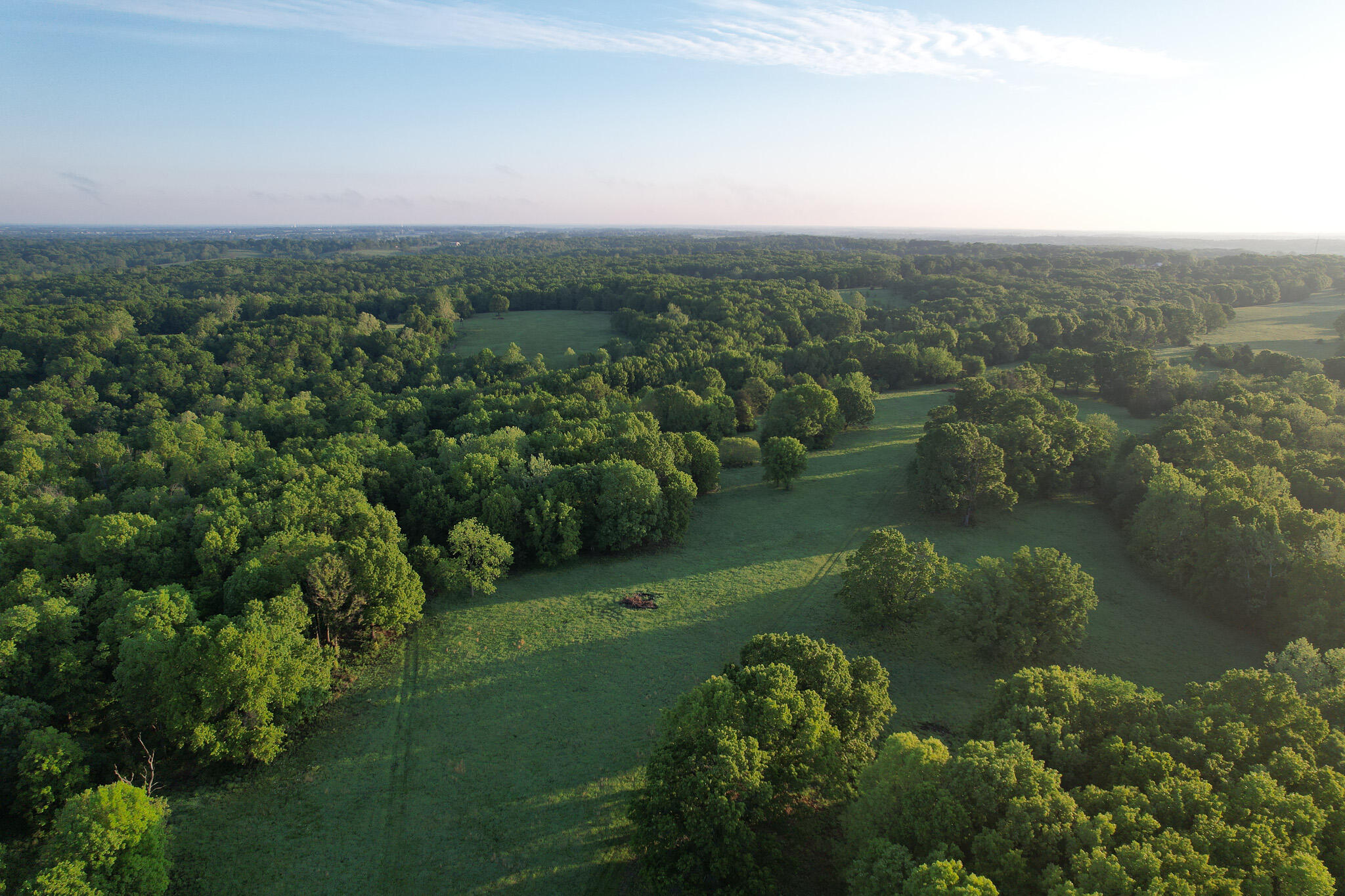 Photo 66 - Land for sale – 000  Farm Road 2170   Exeter, MO
