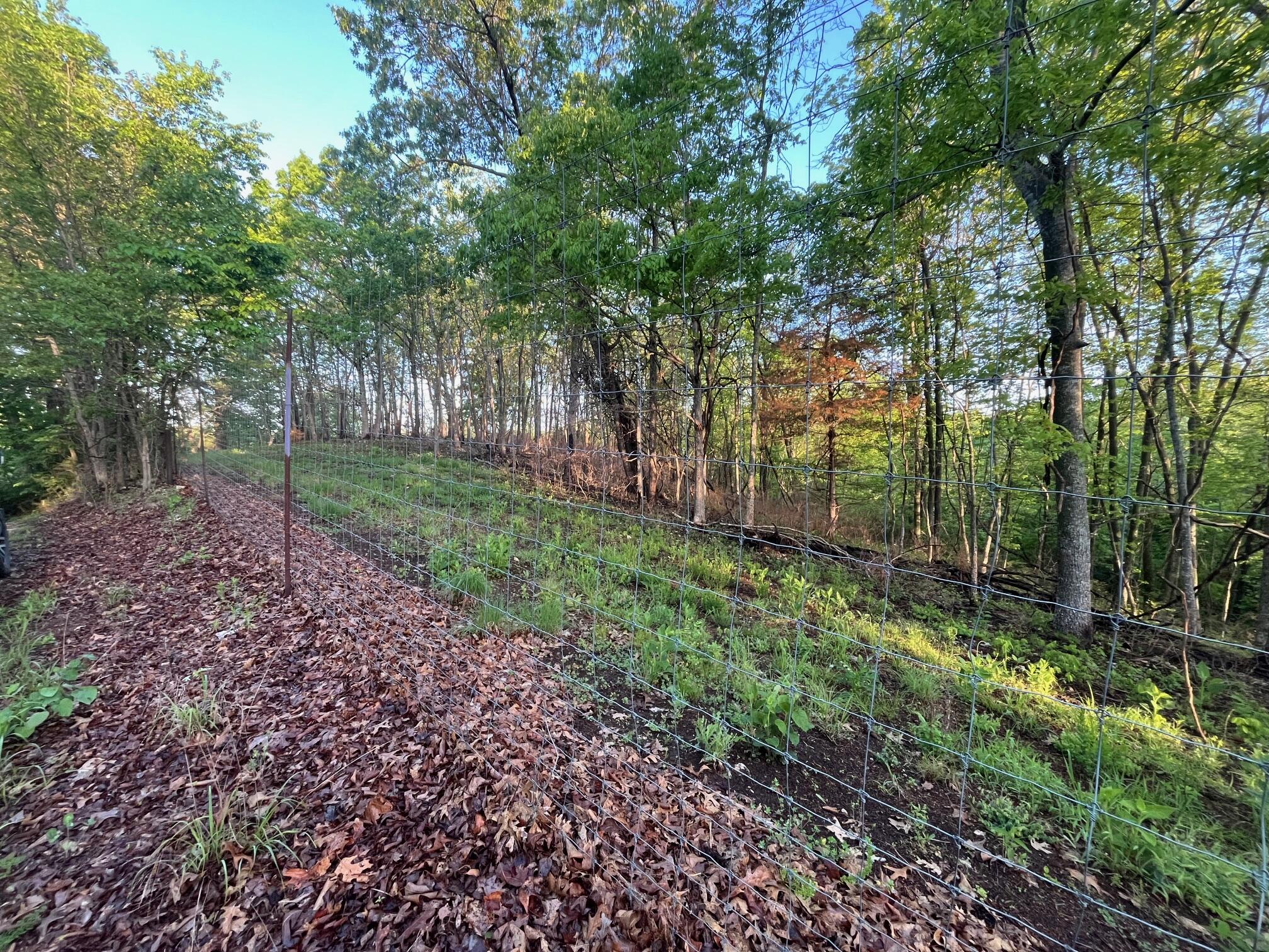 Photo 6 - Land for sale – 000  Farm Road 2170   Exeter, MO