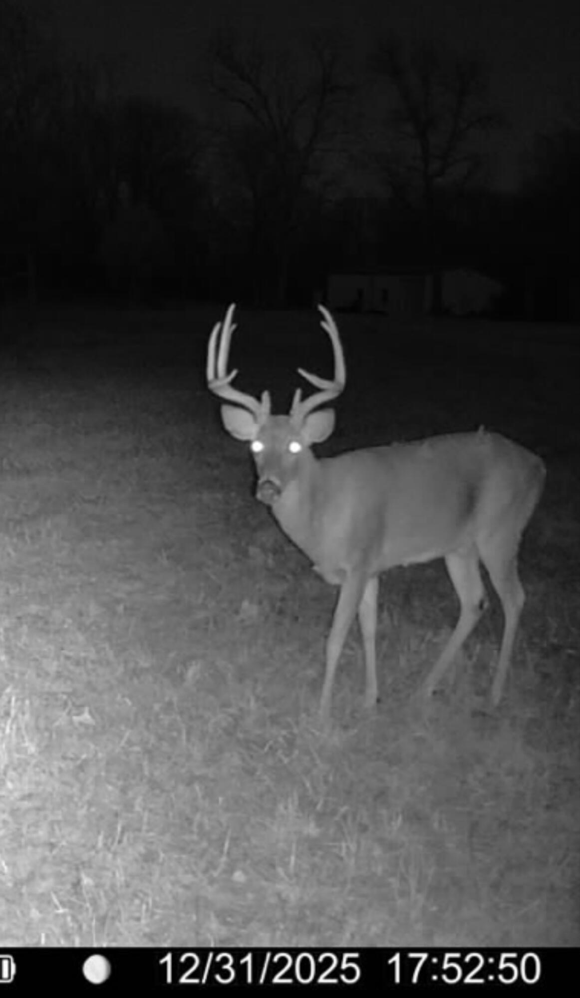Photo 90 - Land for sale – 000  Farm Road 2170   Exeter, MO