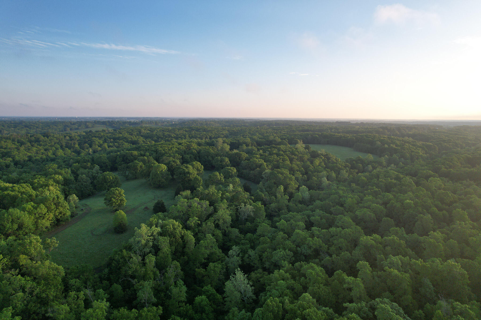 Photo 52 - Land for sale – 000  Farm Road 2170   Exeter, MO