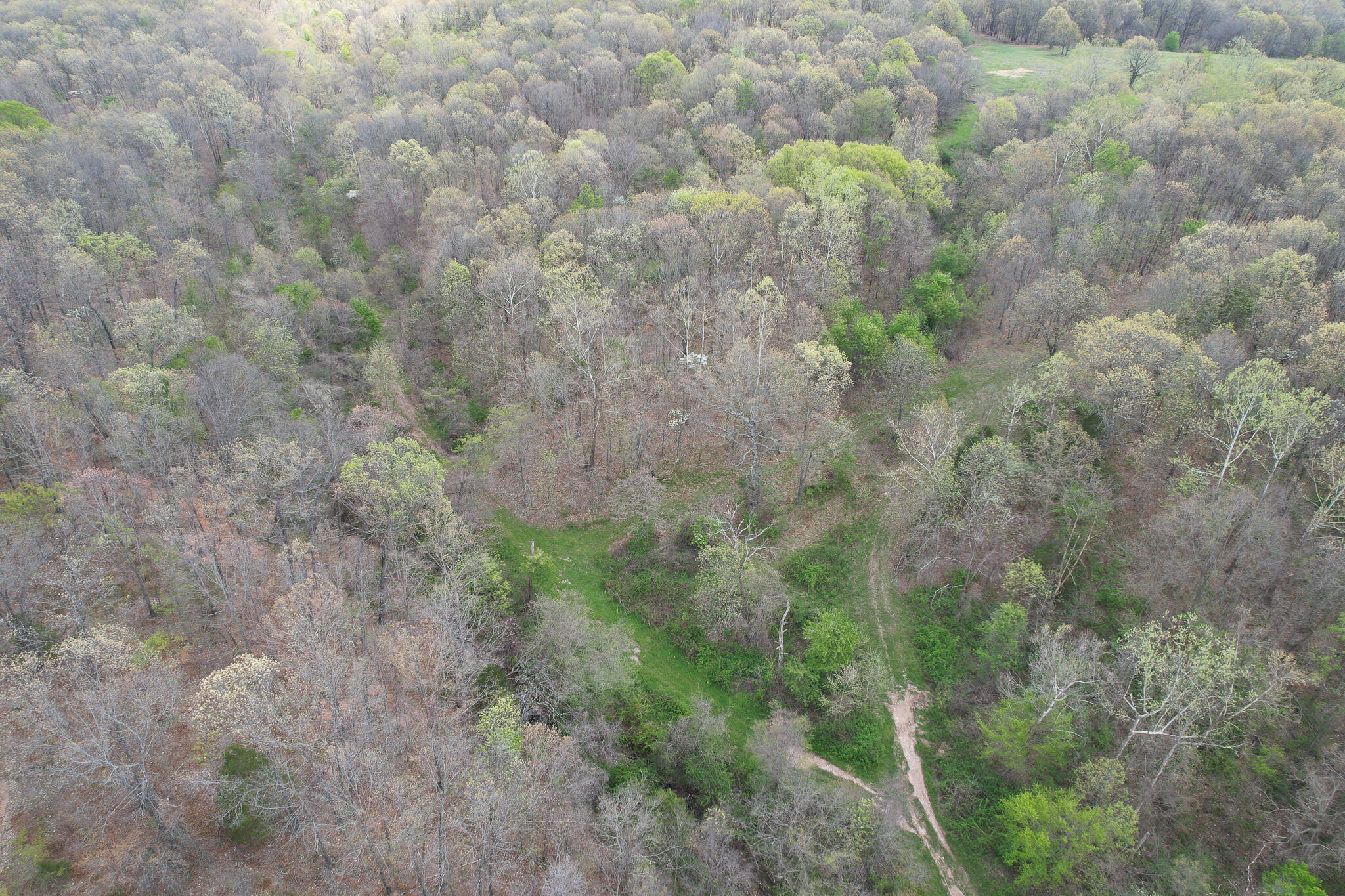Photo 29 - Land for sale – 000  Farm Road 2170   Exeter, MO