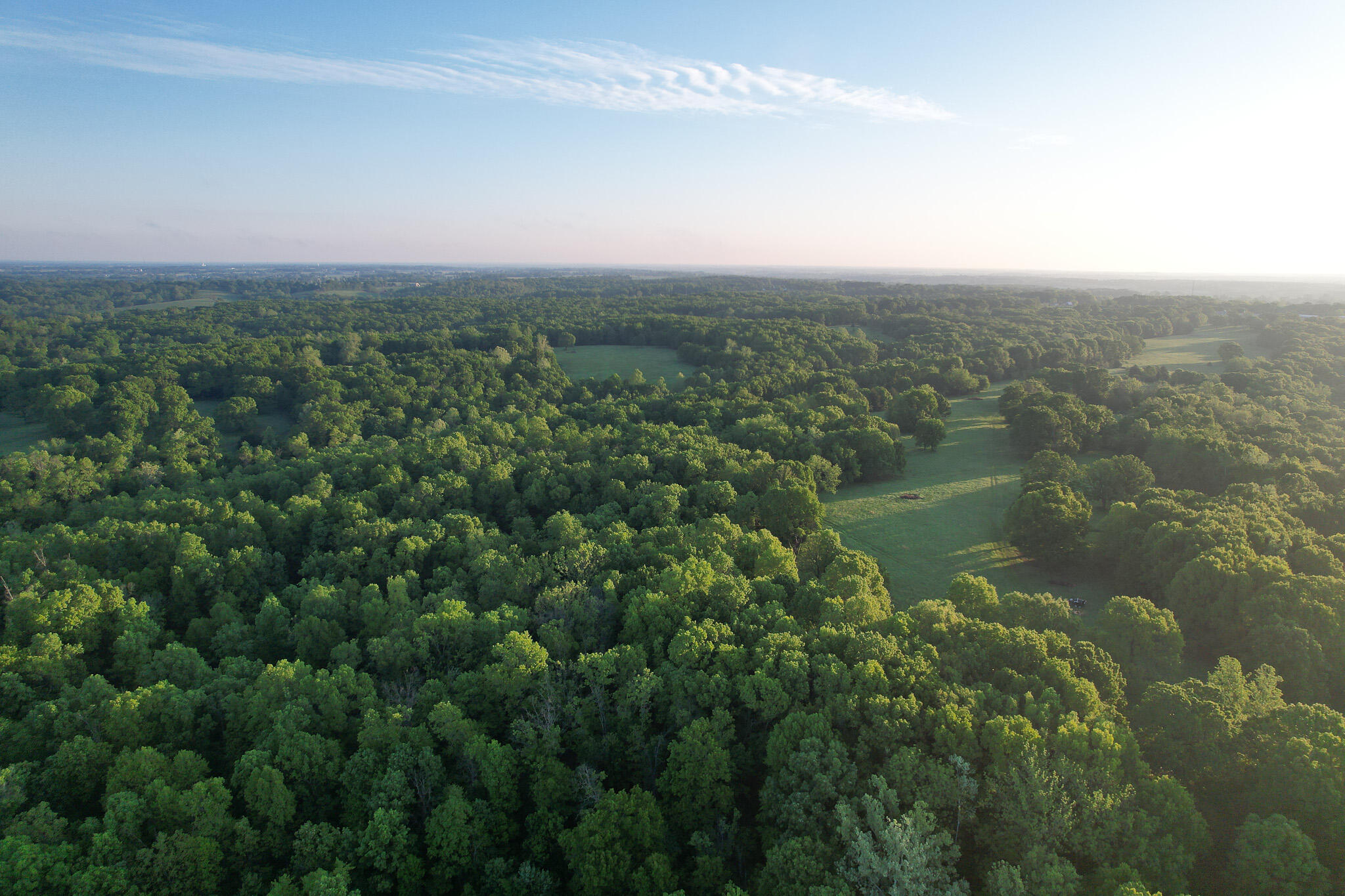 Photo 65 - Land for sale – 000  Farm Road 2170   Exeter, MO