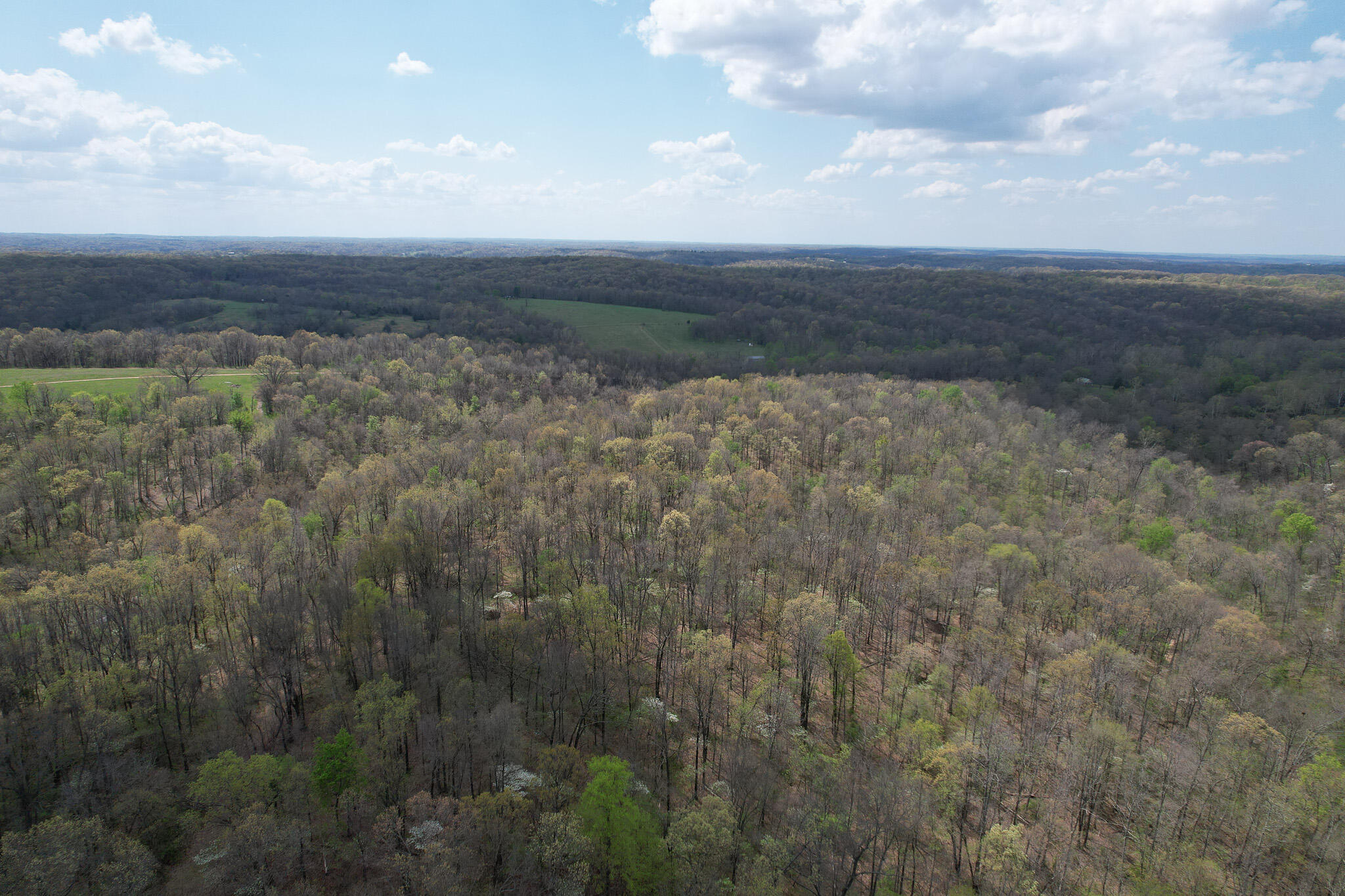 Photo 34 - Land for sale – 000  Farm Road 2170   Exeter, MO