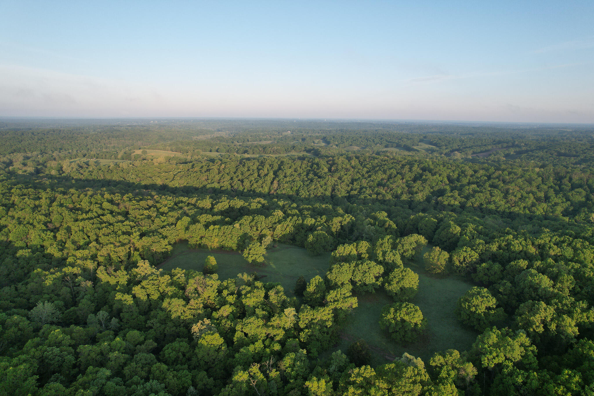 Photo 60 - Land for sale – 000  Farm Road 2170   Exeter, MO