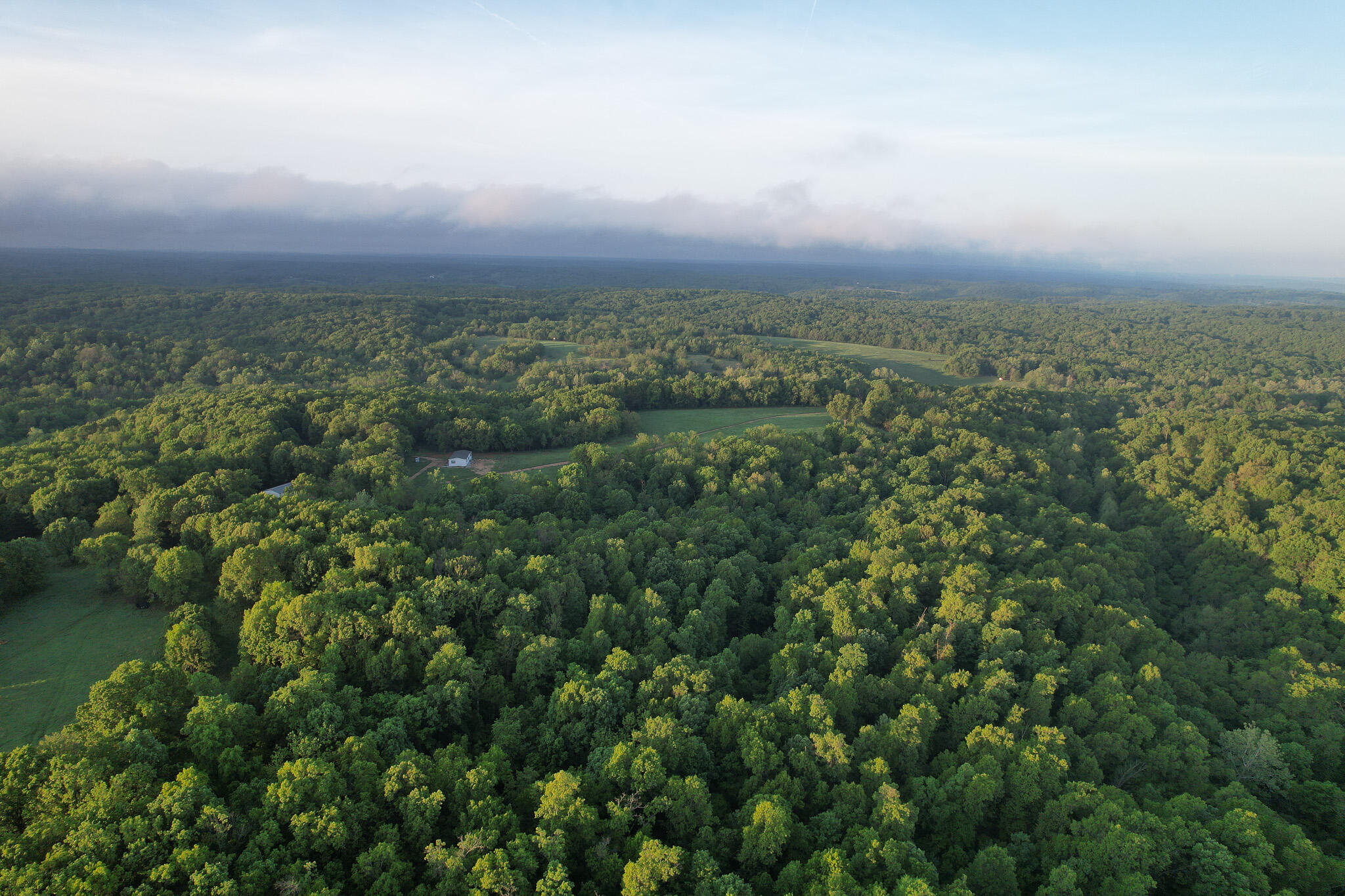Photo 59 - Land for sale – 000  Farm Road 2170   Exeter, MO