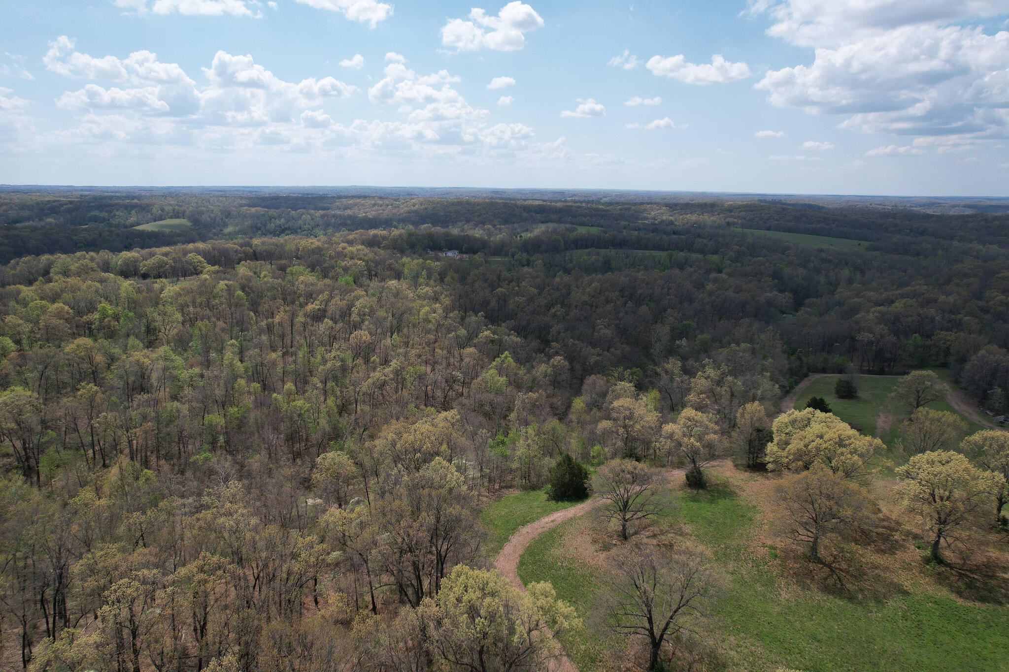 Photo 13 - Land for sale – 000  Farm Road 2170   Exeter, MO