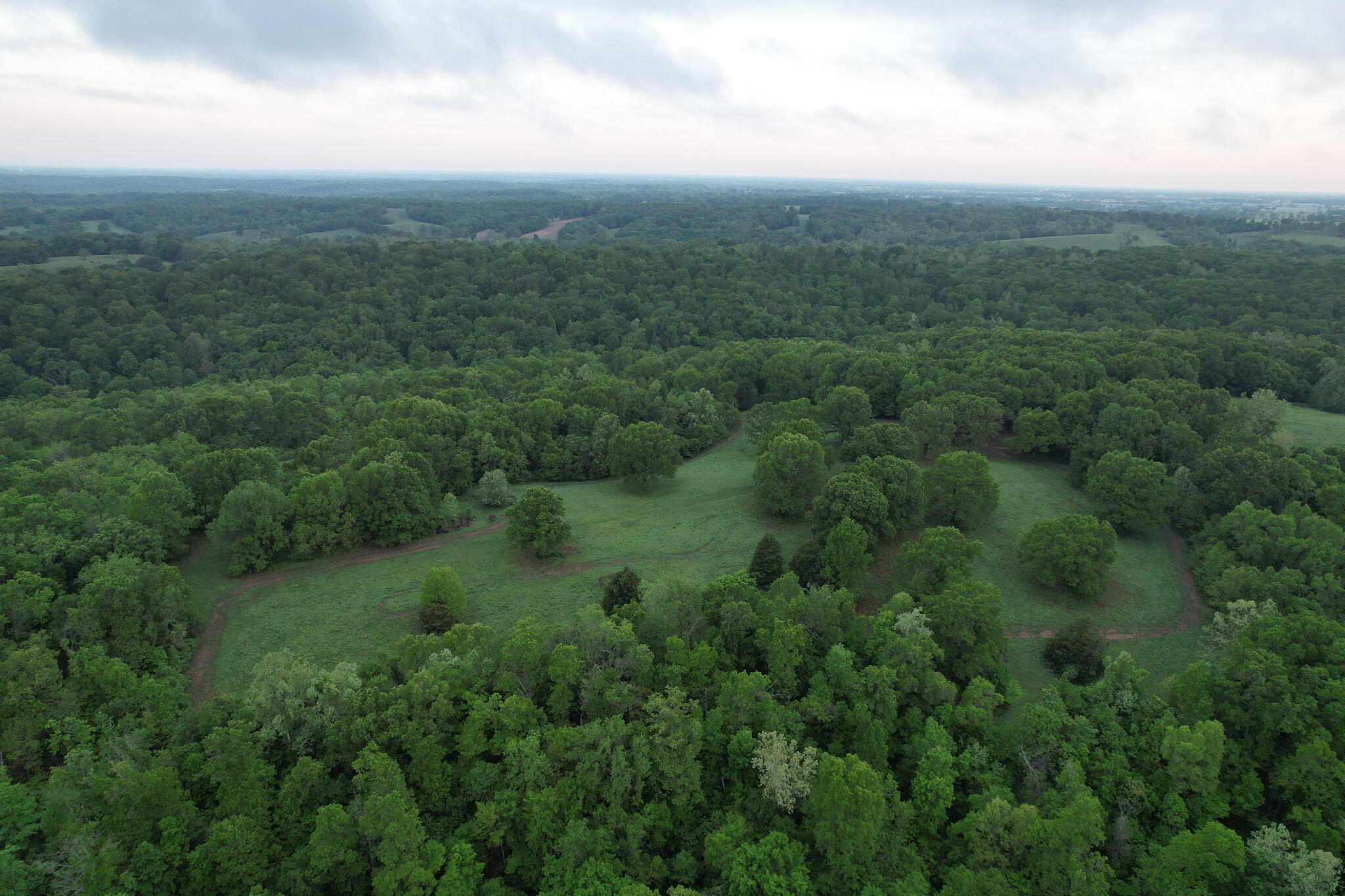 Photo 41 - Land for sale – 000  Farm Road 2170   Exeter, MO