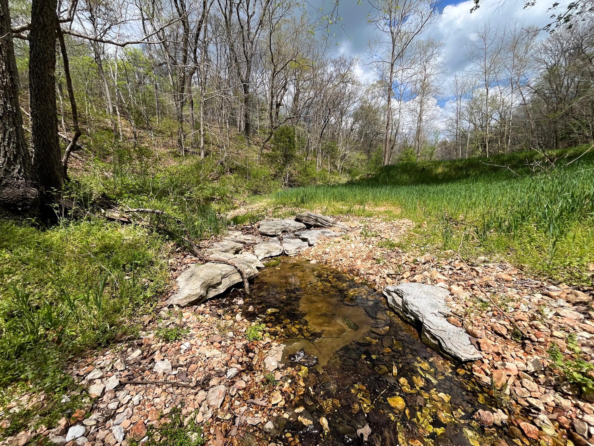 Photo 86 - Land for sale – 000  Farm Road 2170   Exeter, MO