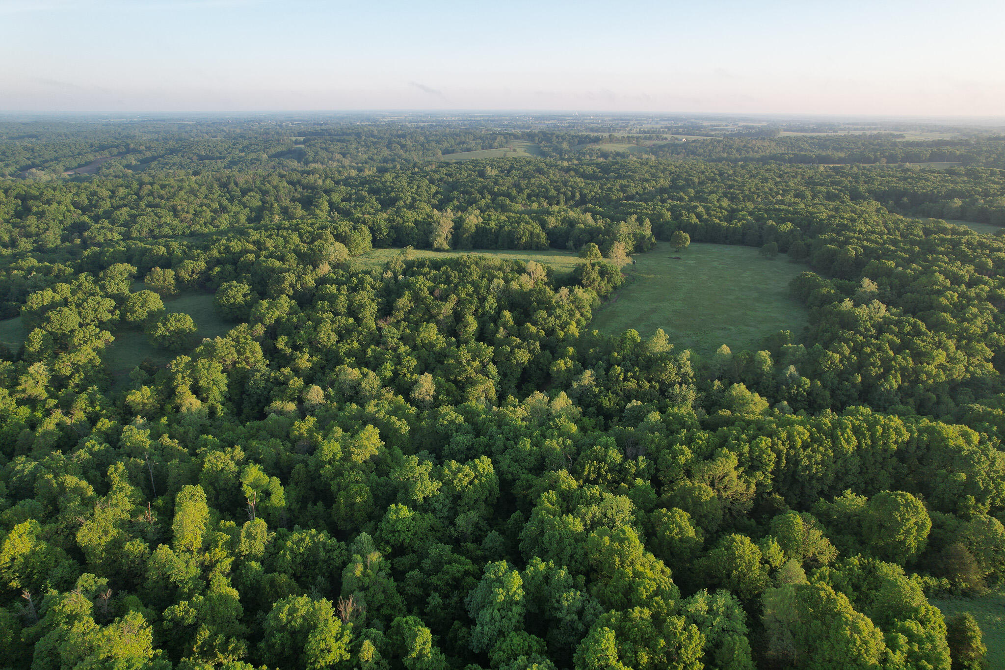 Photo 67 - Land for sale – 000  Farm Road 2170   Exeter, MO