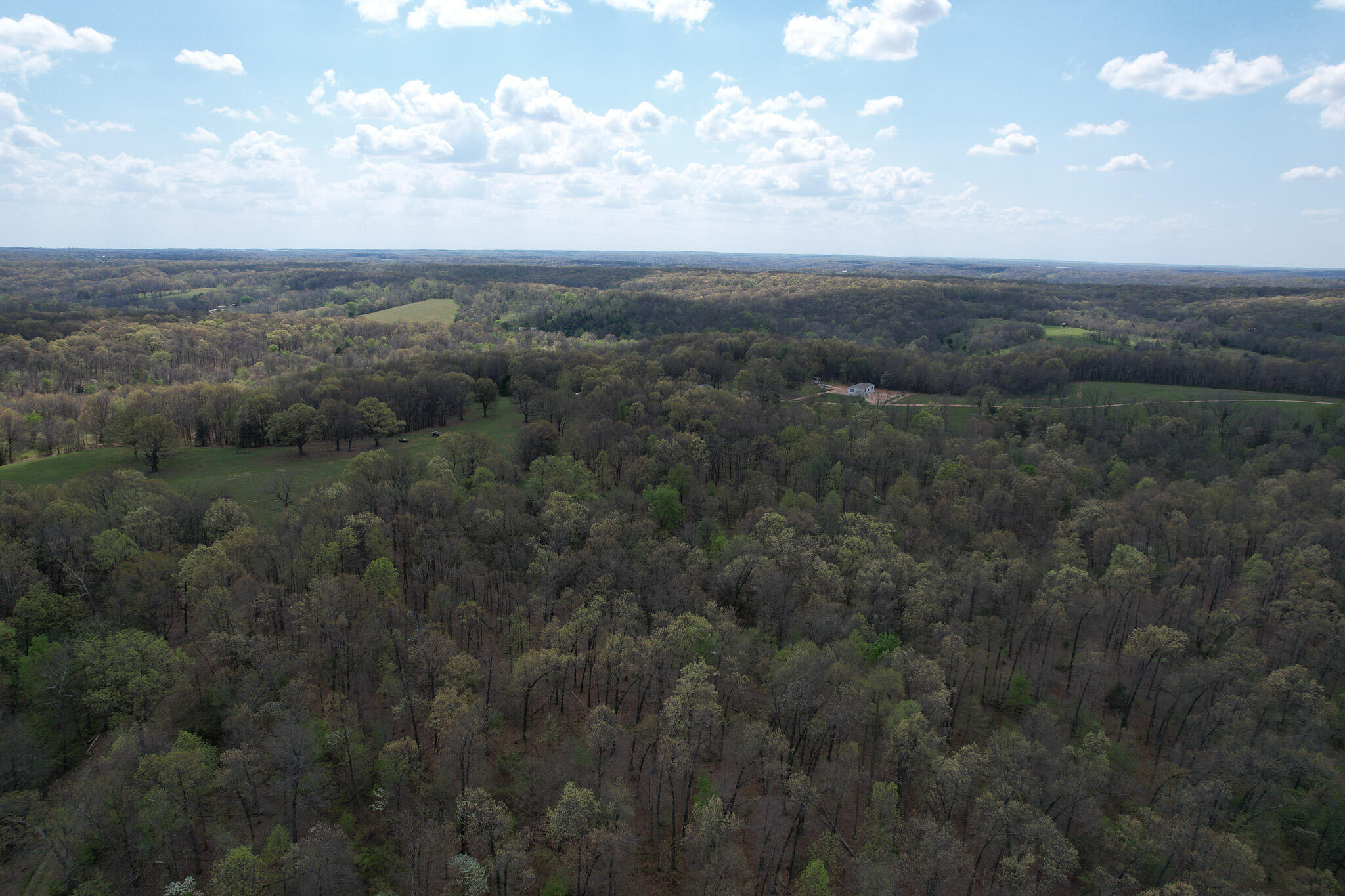 Photo 15 - Land for sale – 000  Farm Road 2170   Exeter, MO