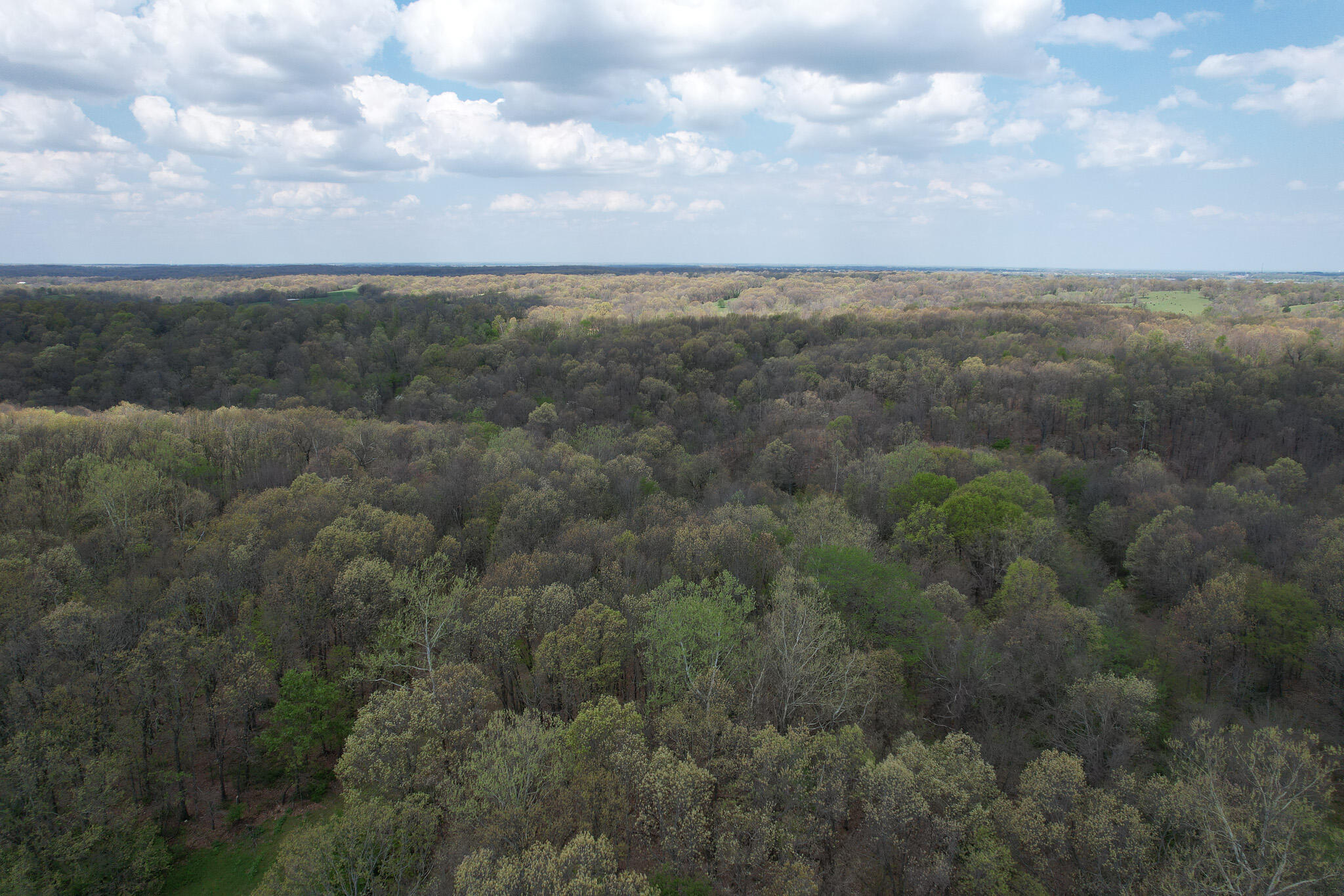 Photo 27 - Land for sale – 000  Farm Road 2170   Exeter, MO
