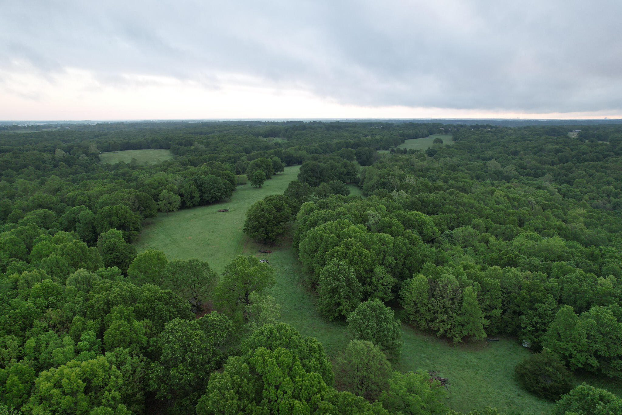 Photo 37 - Land for sale – 000  Farm Road 2170   Exeter, MO
