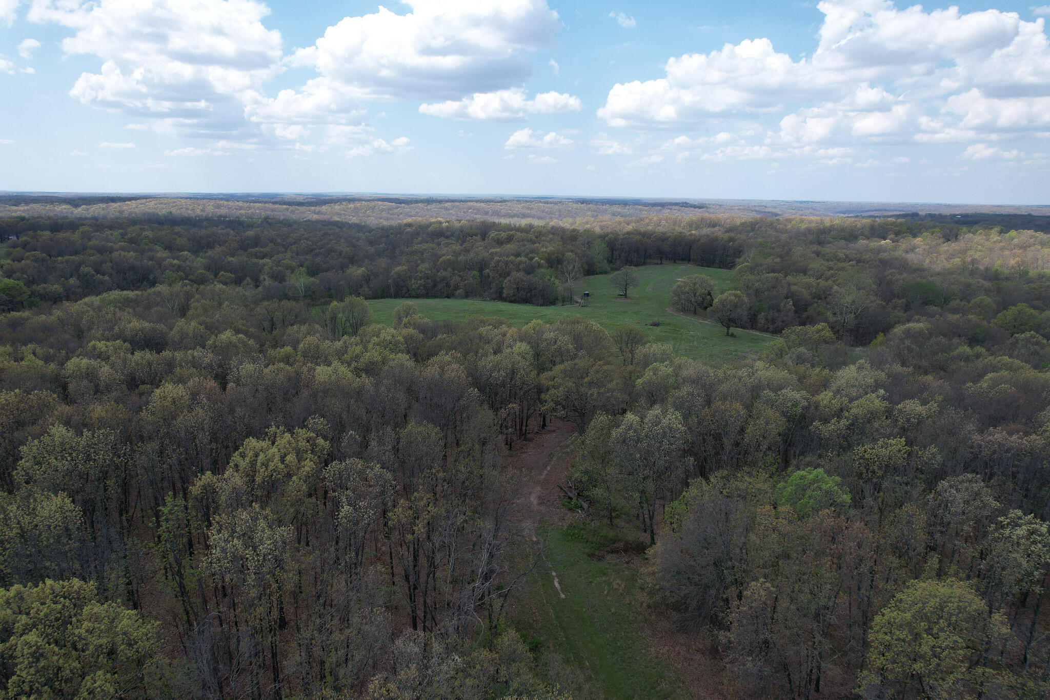 Photo 9 - Land for sale – 000  Farm Road 2170   Exeter, MO