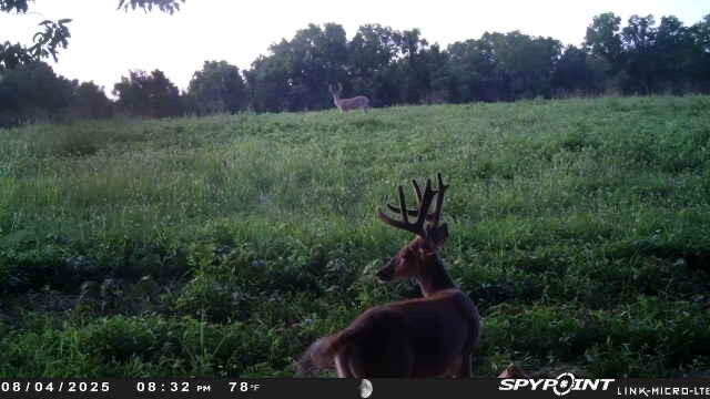Photo 89 - Land for sale – 000  Farm Road 2170   Exeter, MO