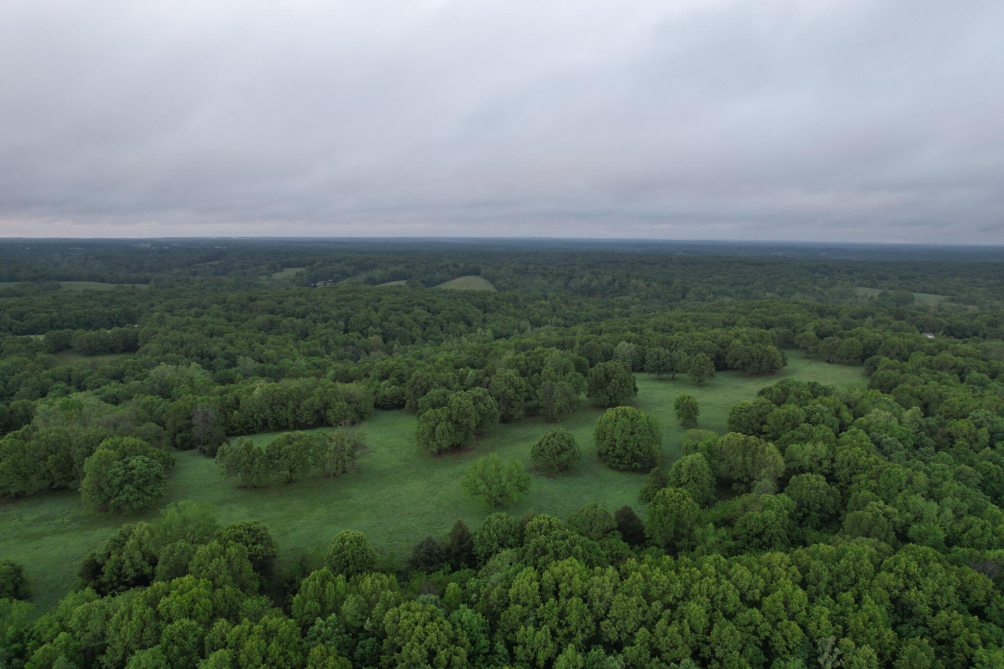 Photo 46 - Land for sale – 000  Farm Road 2170   Exeter, MO