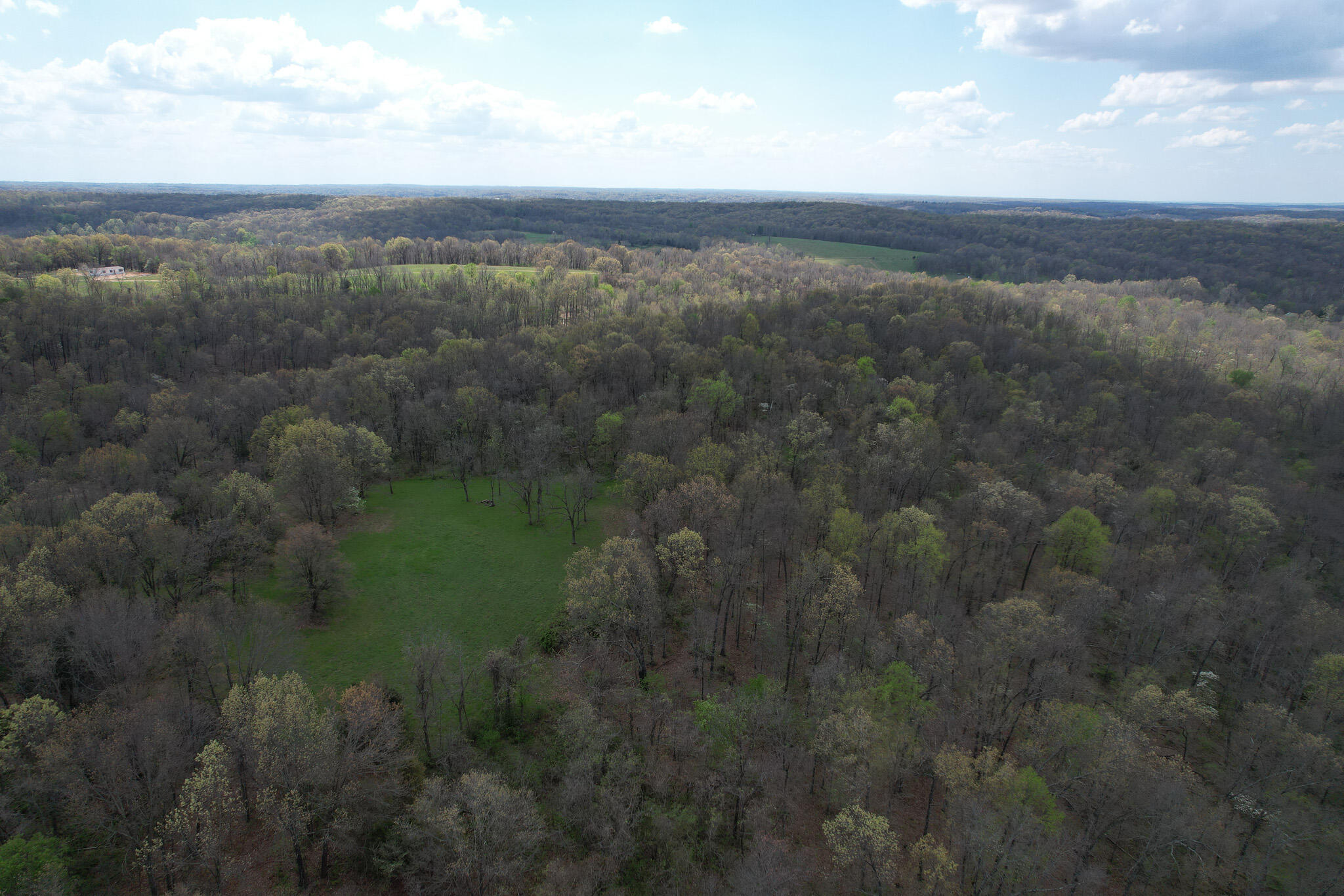 Photo 33 - Land for sale – 000  Farm Road 2170   Exeter, MO