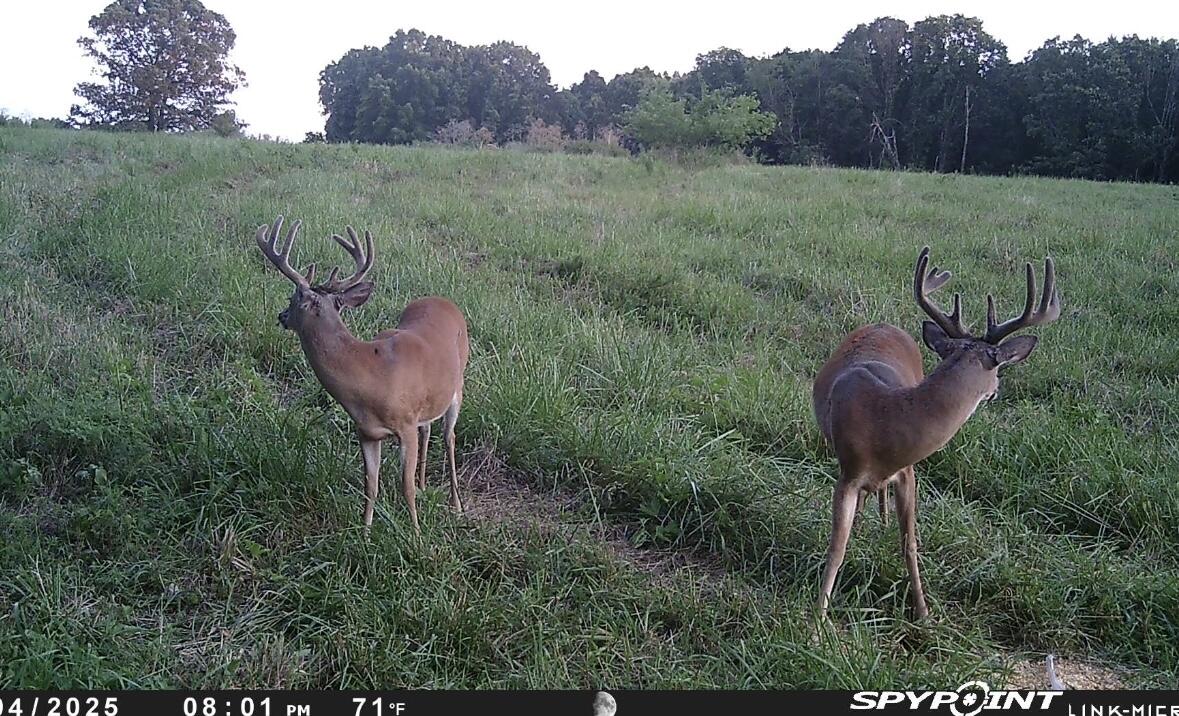Photo 100 - Land for sale – 000  Farm Road 2170   Exeter, MO