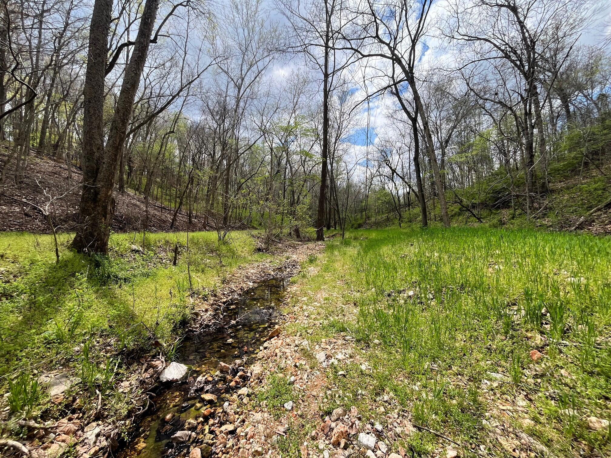 Photo 87 - Land for sale – 000  Farm Road 2170   Exeter, MO