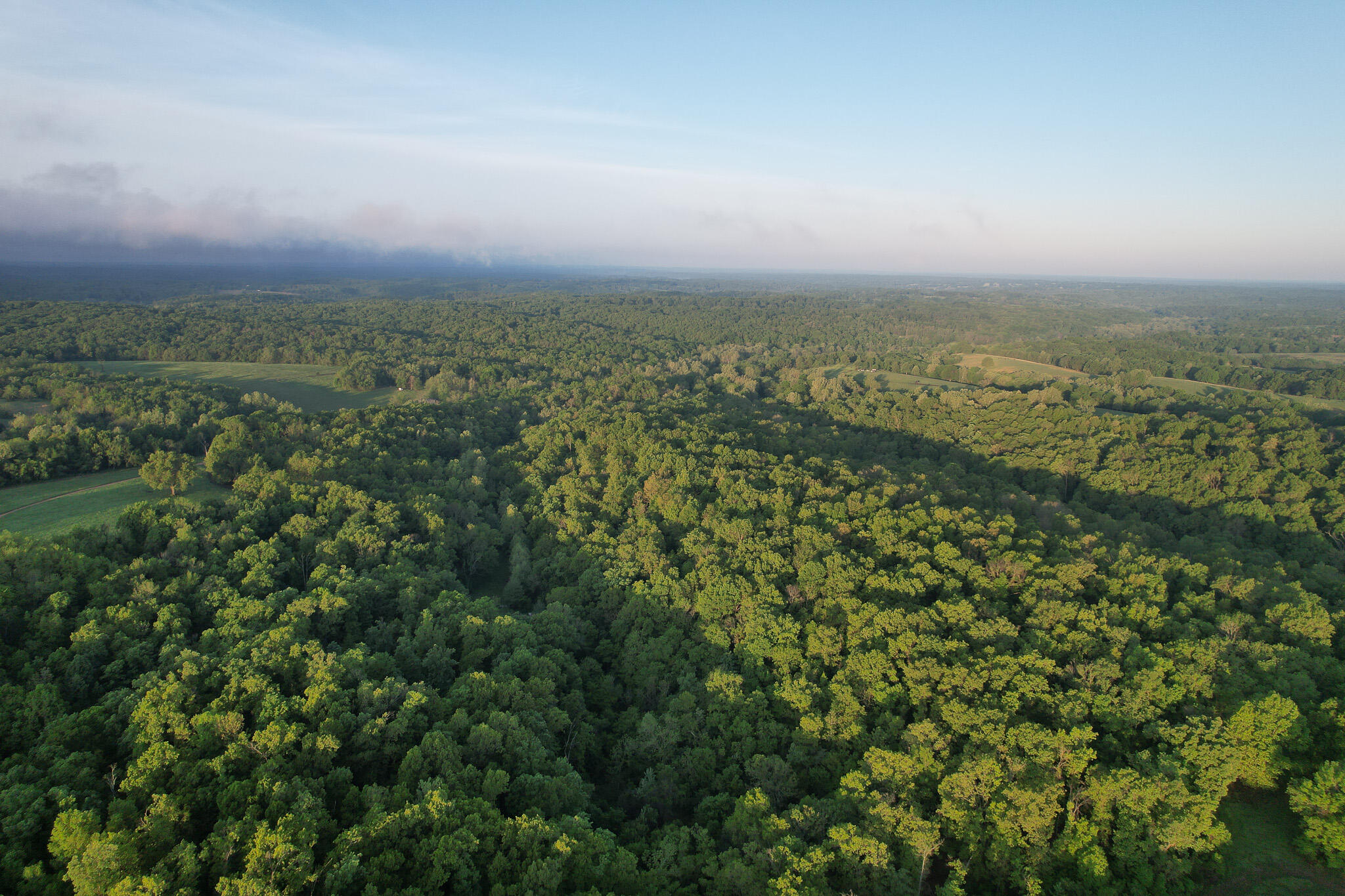 Photo 61 - Land for sale – 000  Farm Road 2170   Exeter, MO