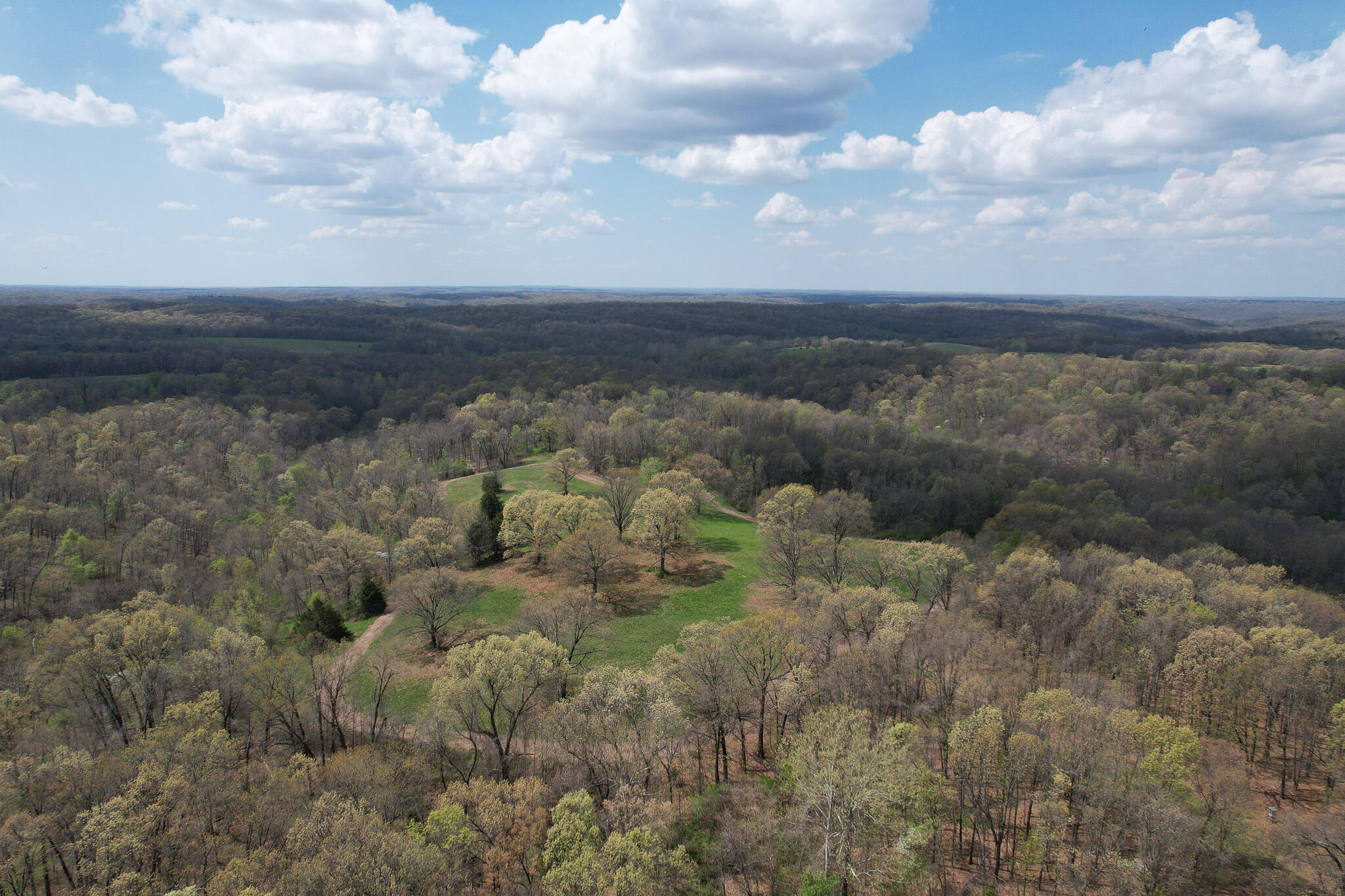 Photo 11 - Land for sale – 000  Farm Road 2170   Exeter, MO