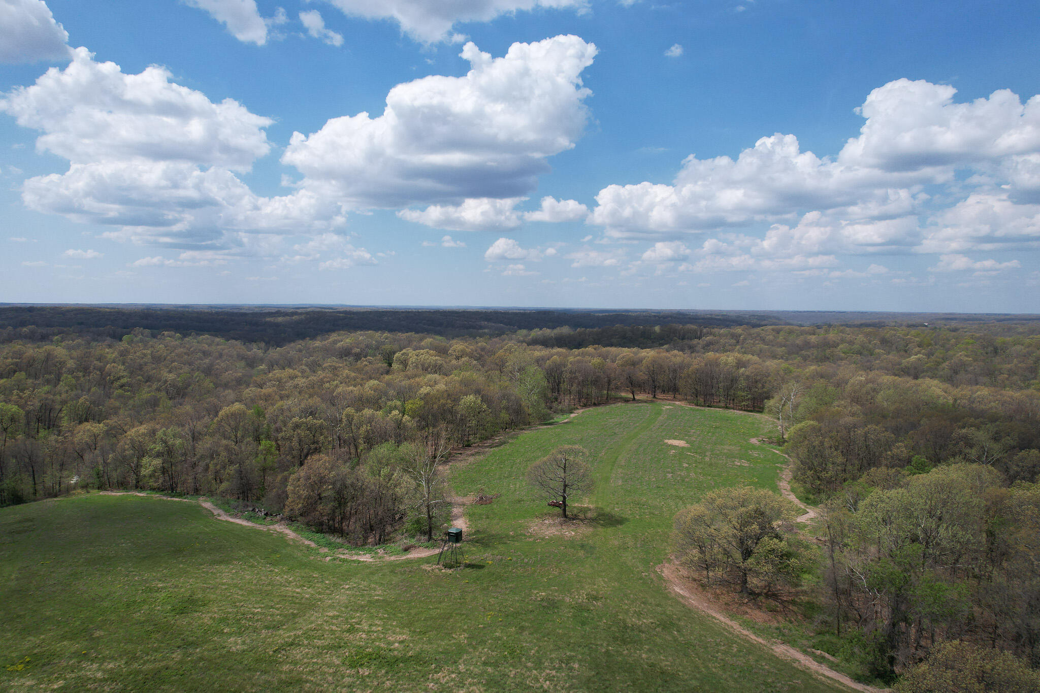 Photo 10 - Land for sale – 000  Farm Road 2170   Exeter, MO
