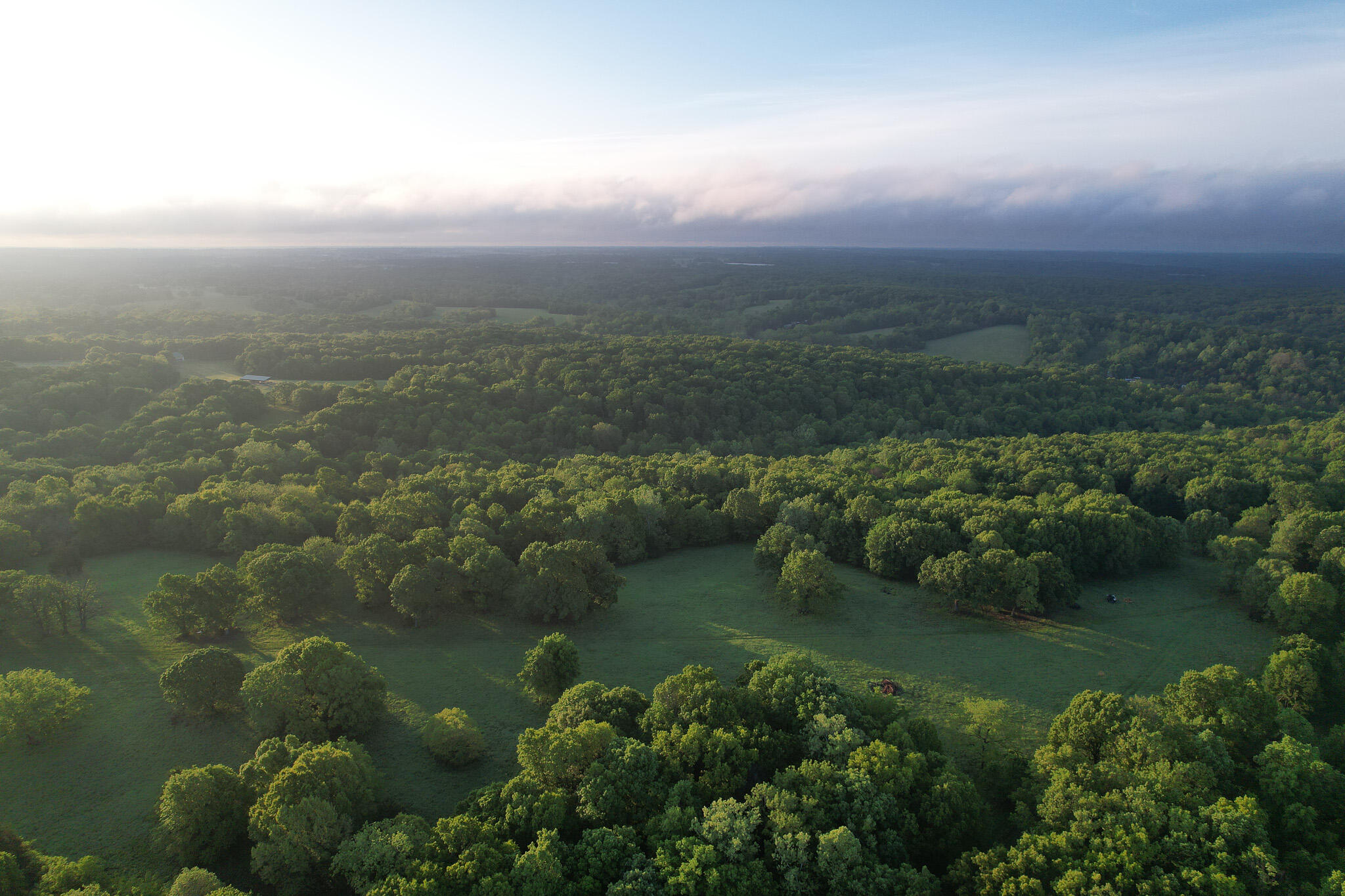 Photo 58 - Land for sale – 000  Farm Road 2170   Exeter, MO