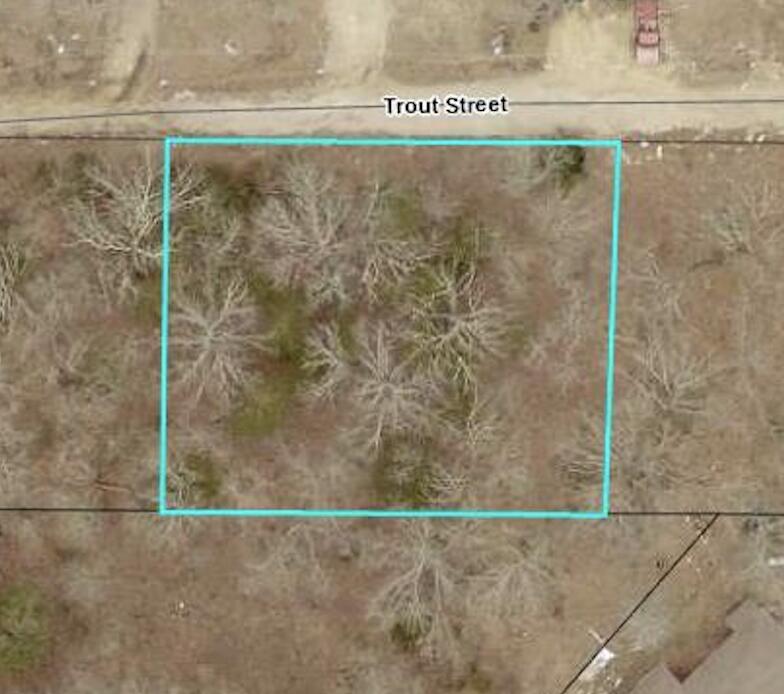 Land for sale – 140  Trout Street  Kissee Mills, MO